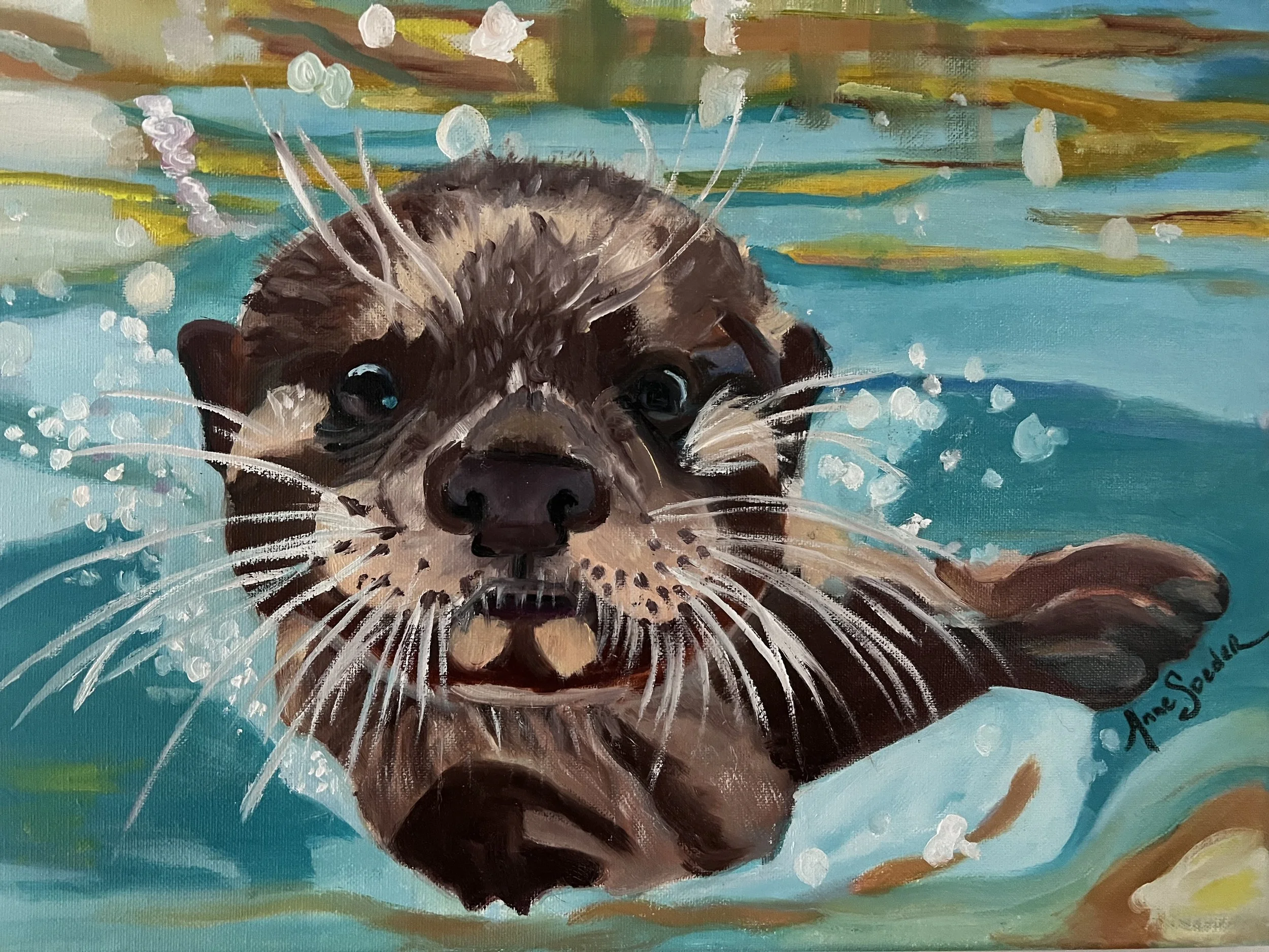 otter.jpeg