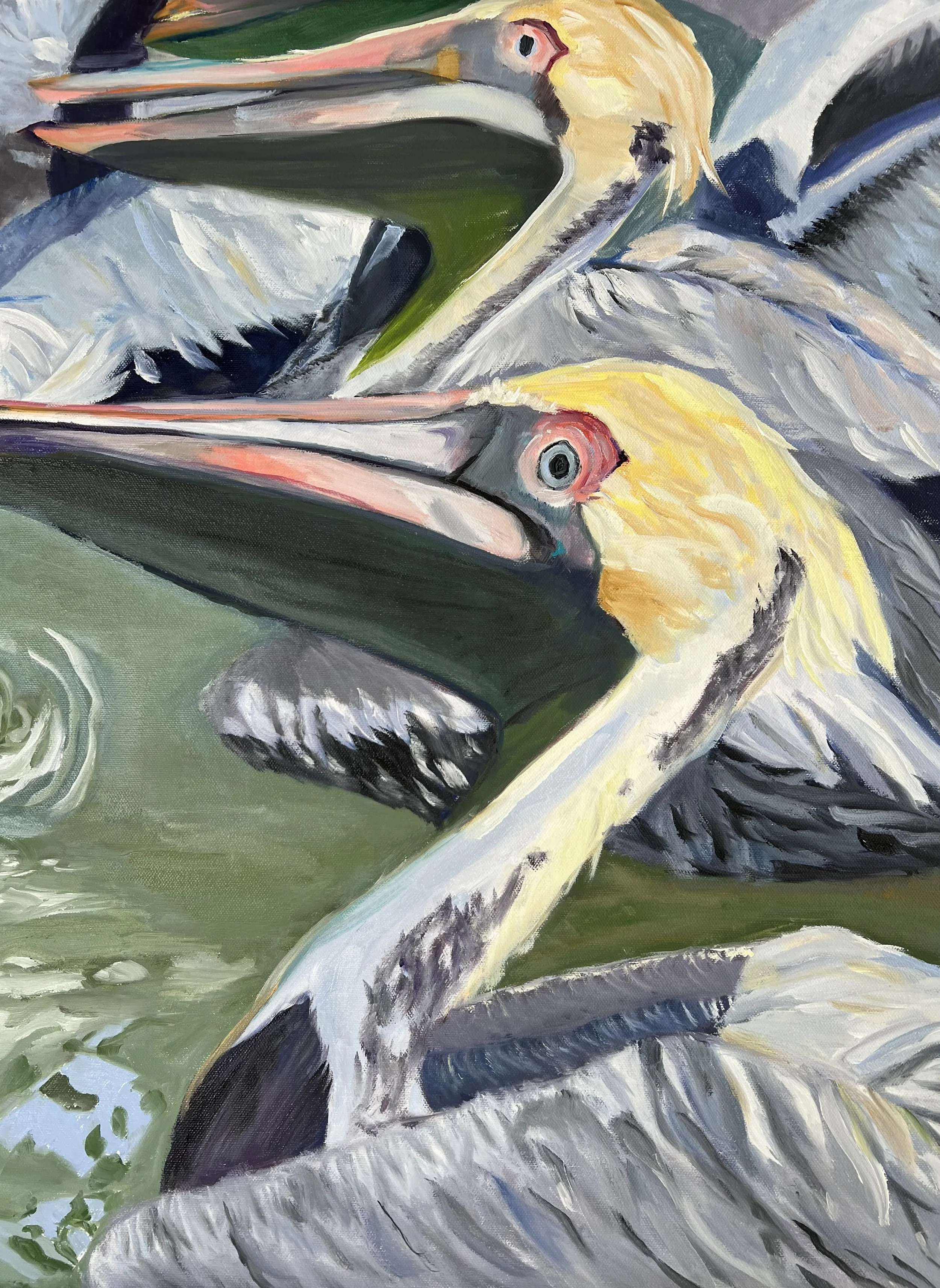Pelican Heads.jpeg