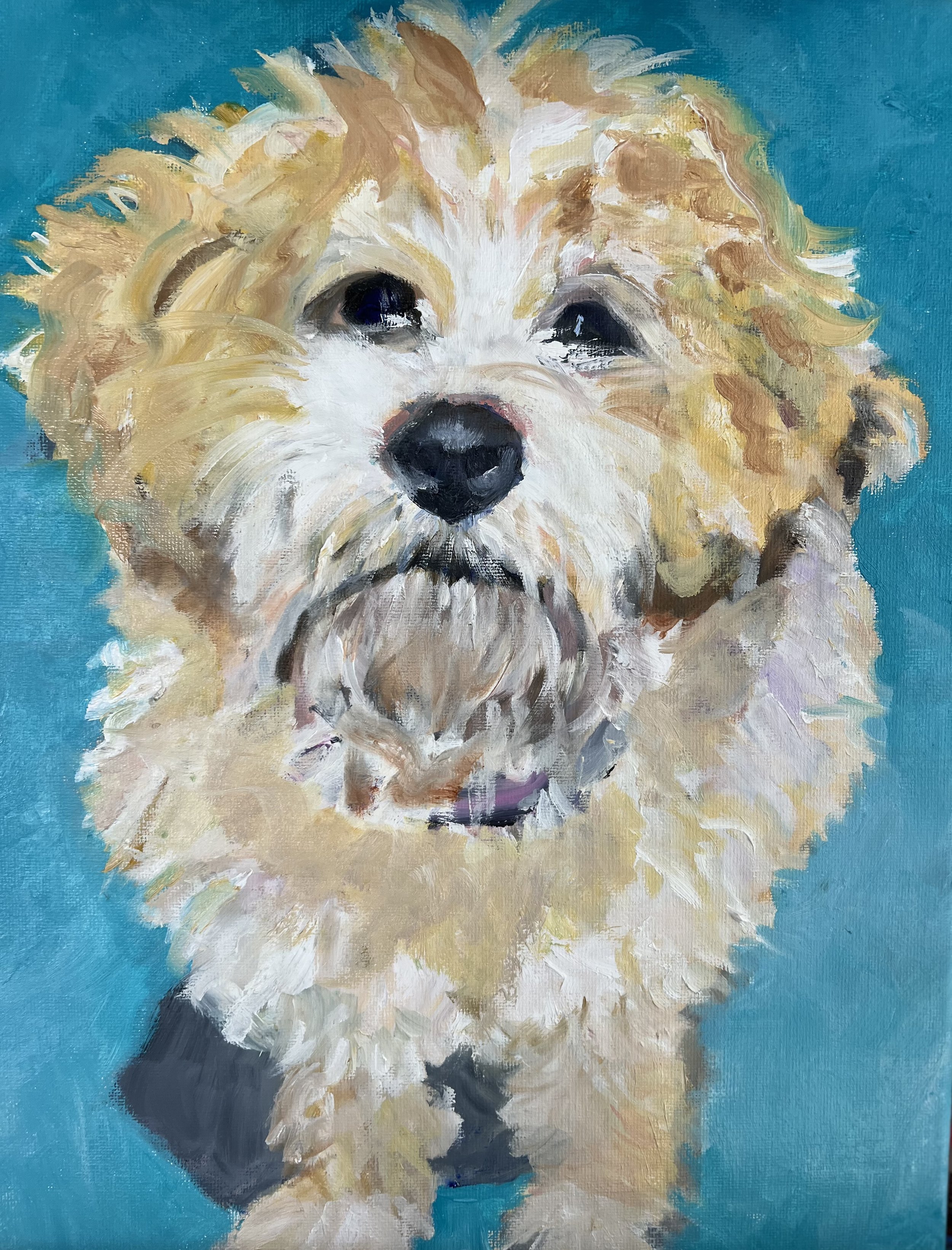 Pet Portrait - Fluffy.jpeg