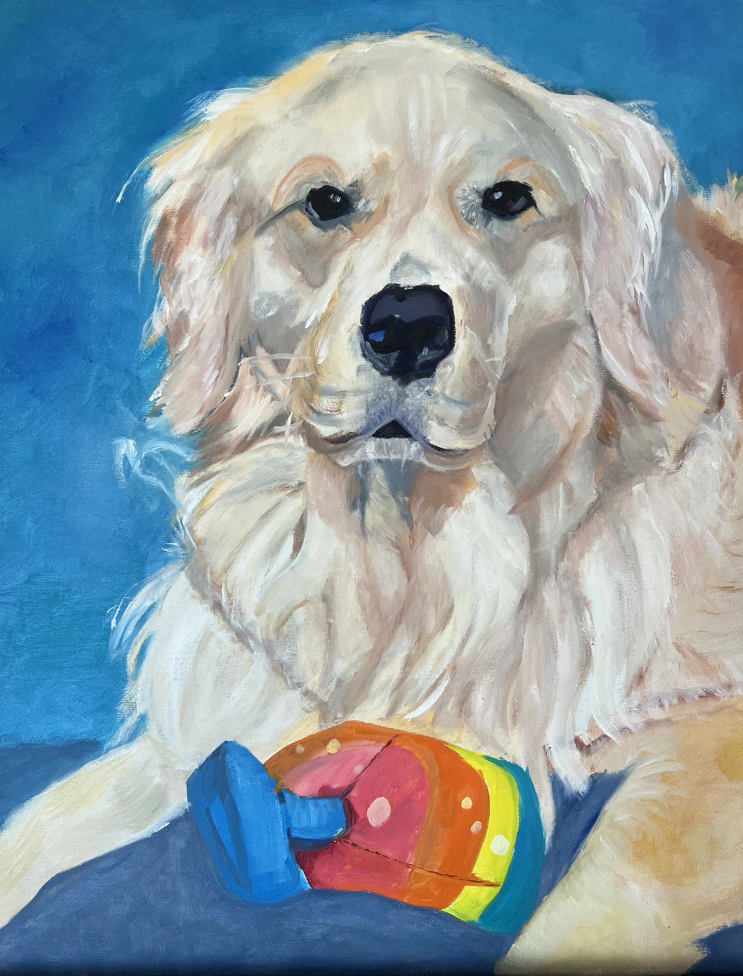 Pet Portrait - blond golden.jpeg