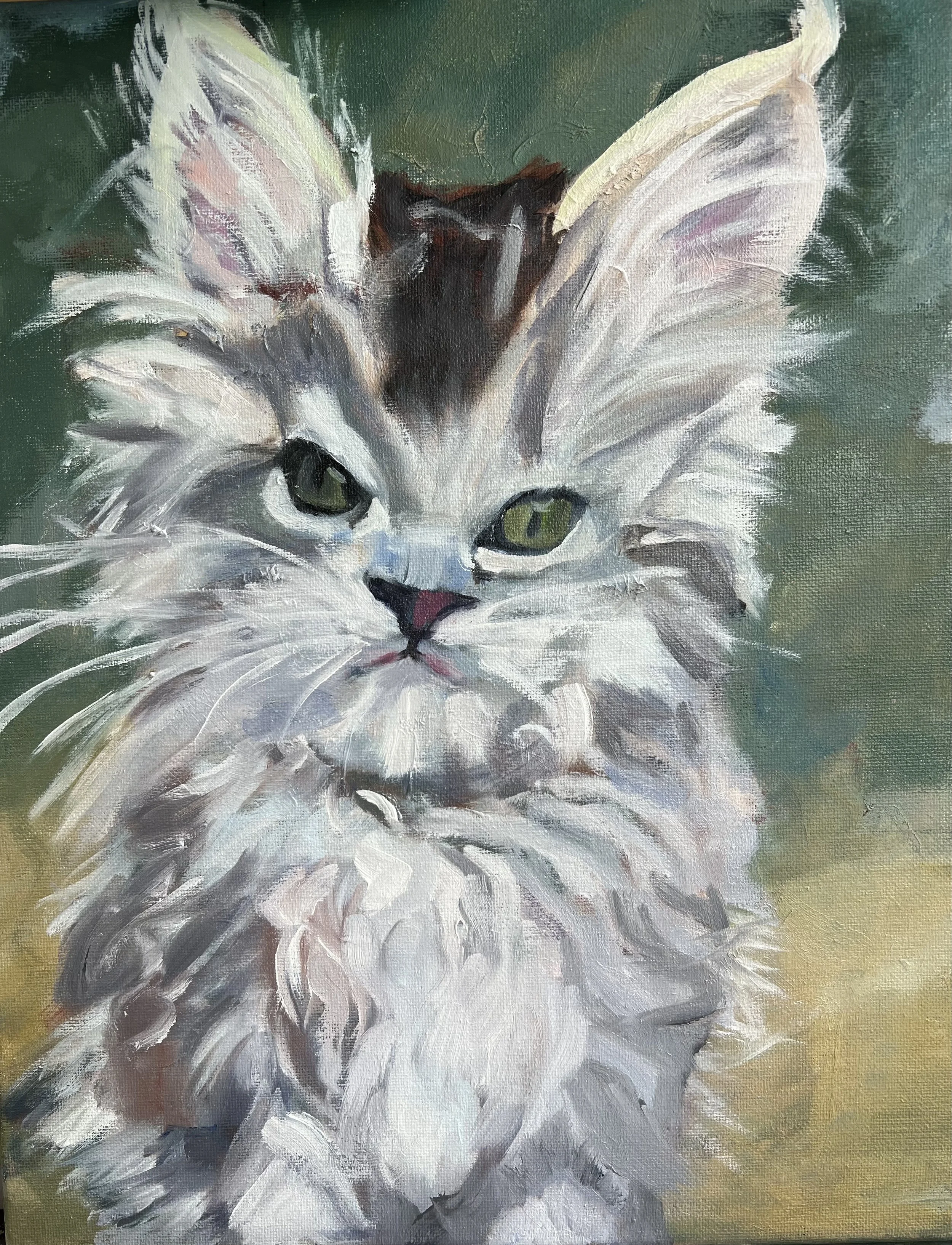 Kitten.jpeg