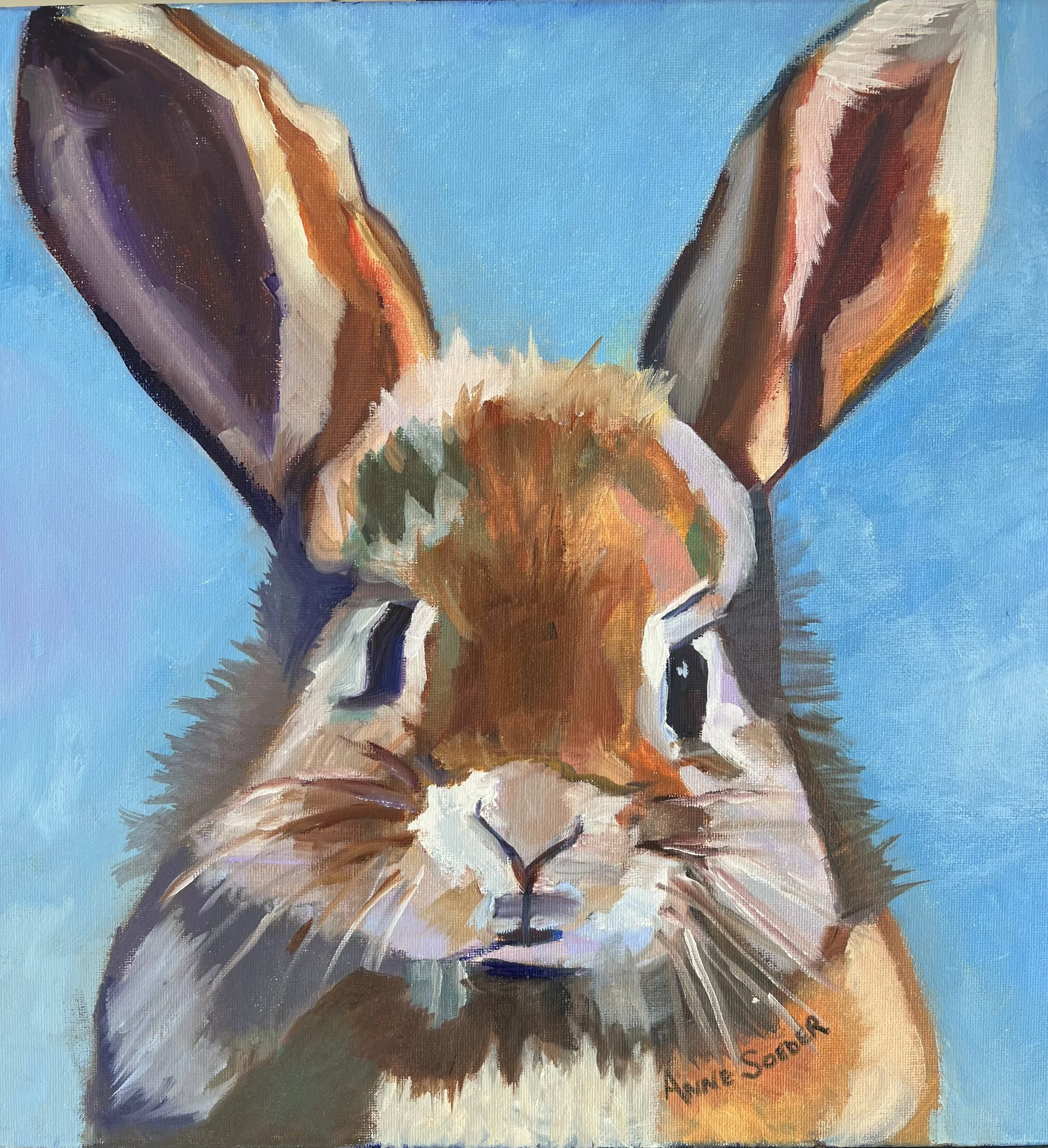Rabbit.jpeg