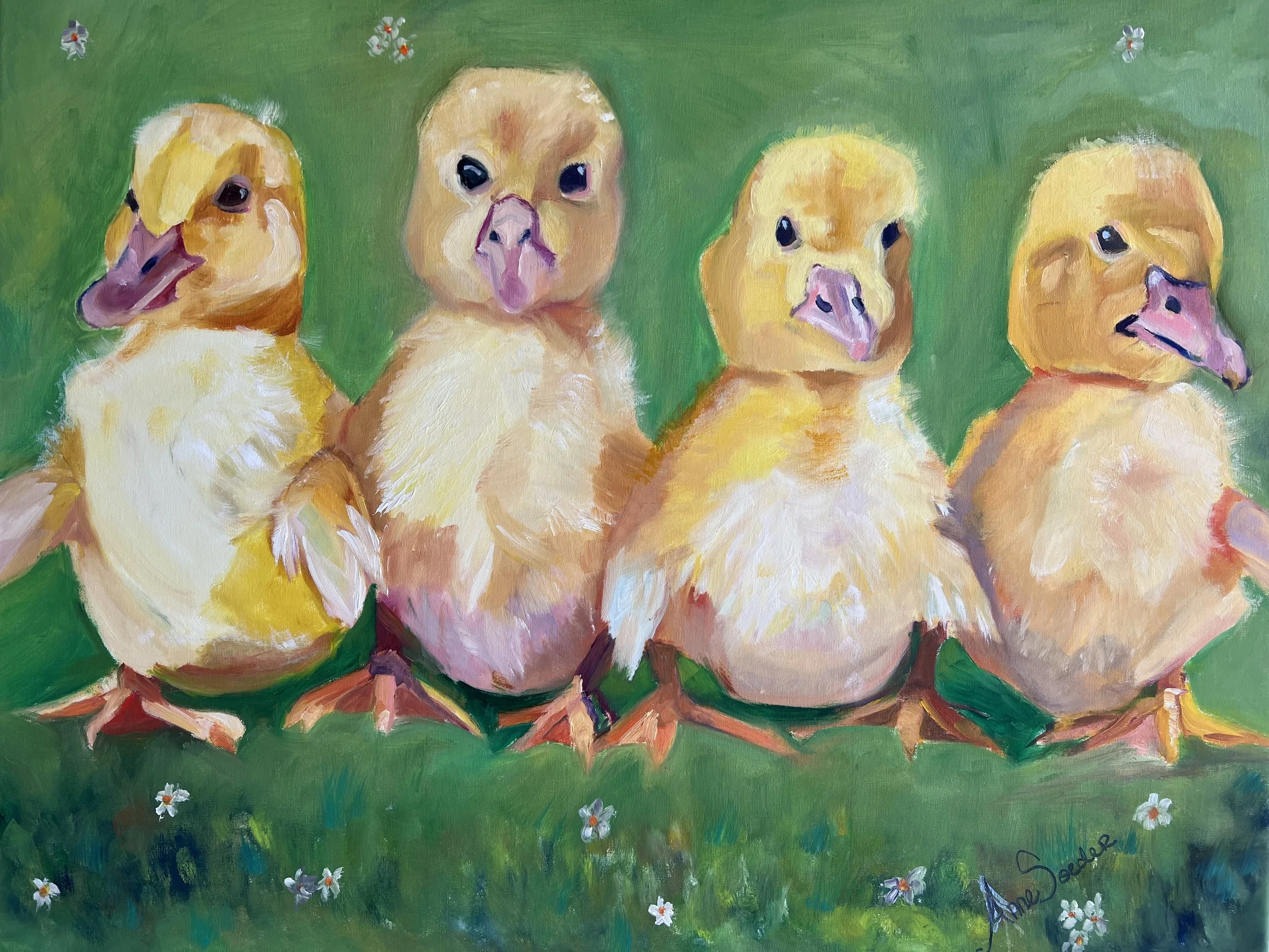 Ducks.jpeg