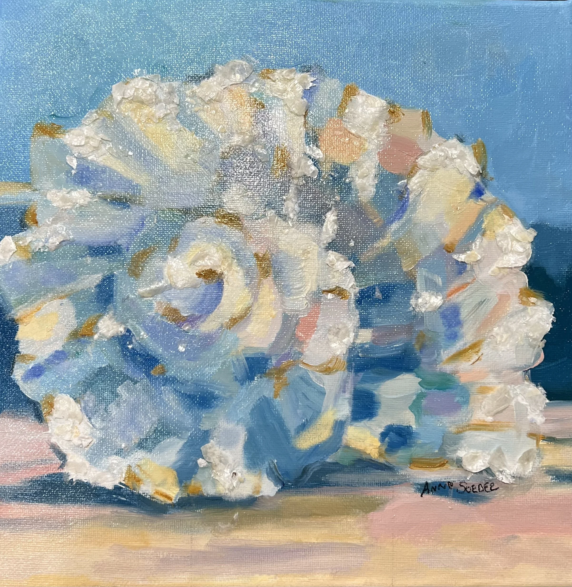 shell 1.jpeg