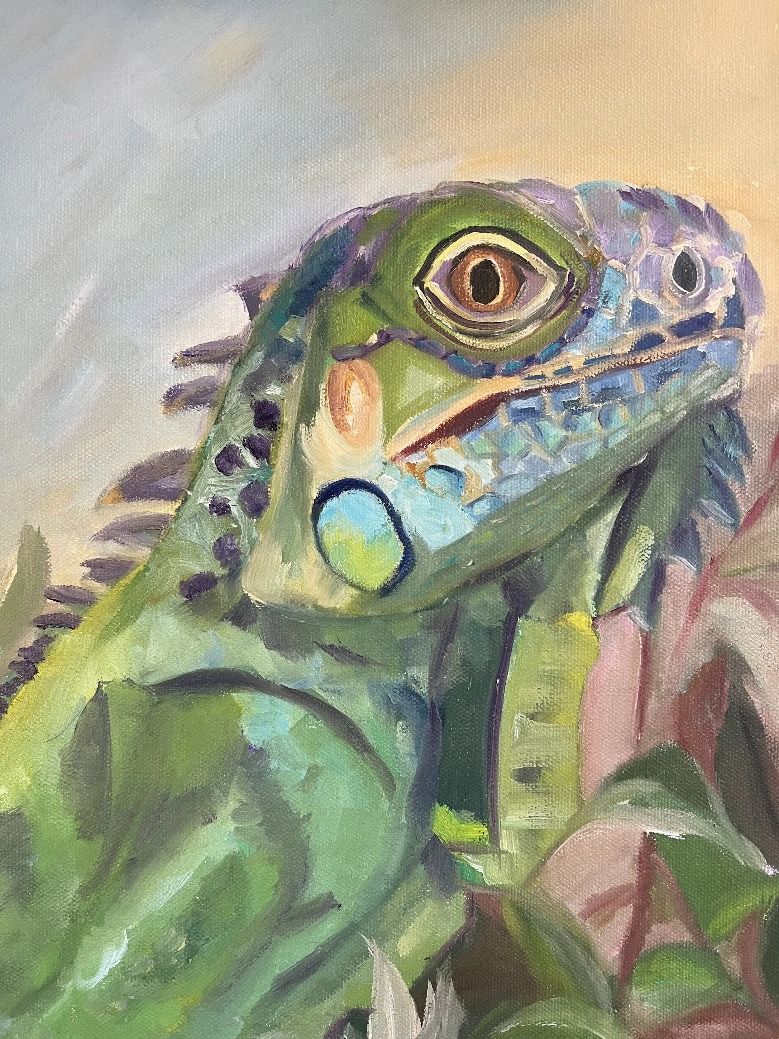 Iguana.jpeg
