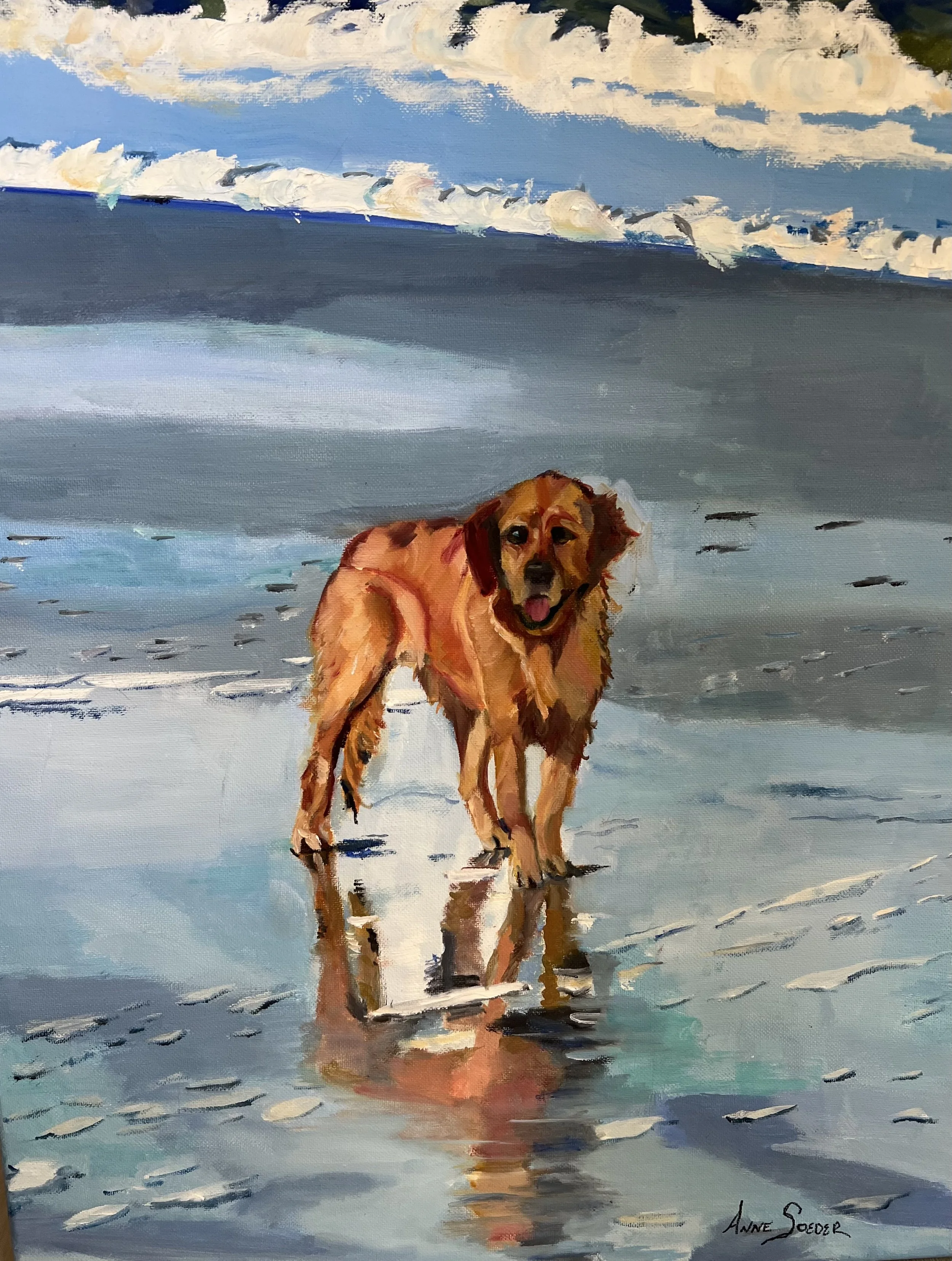 Winston on Beach.jpeg