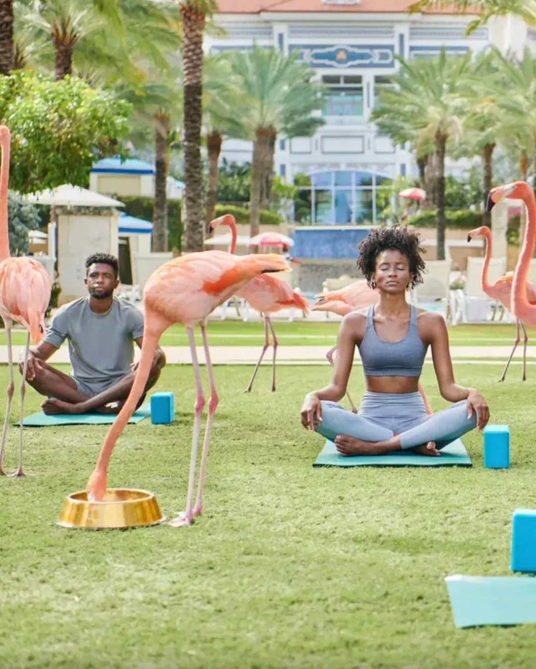 Entertainment makes events fun and memorable. While we prefer to forget some fads, we love these current event entertainment trends that you won&rsquo;t want to forget: 
✨ Wellness-driven connection 
✨ Hands-on creativity
✨ Silent disco
✨ Live person