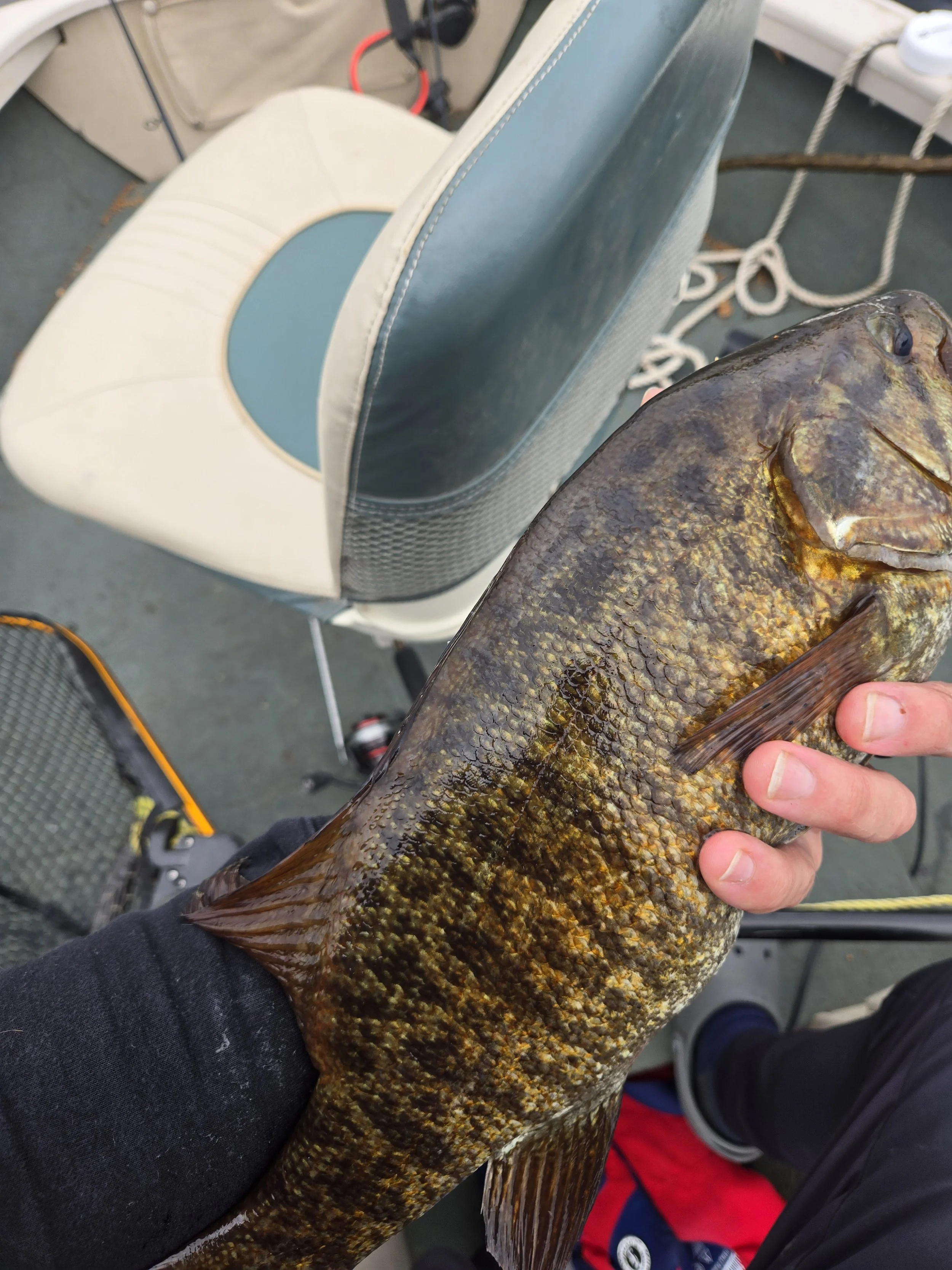 Gunflint Trail Smallmouth Bass