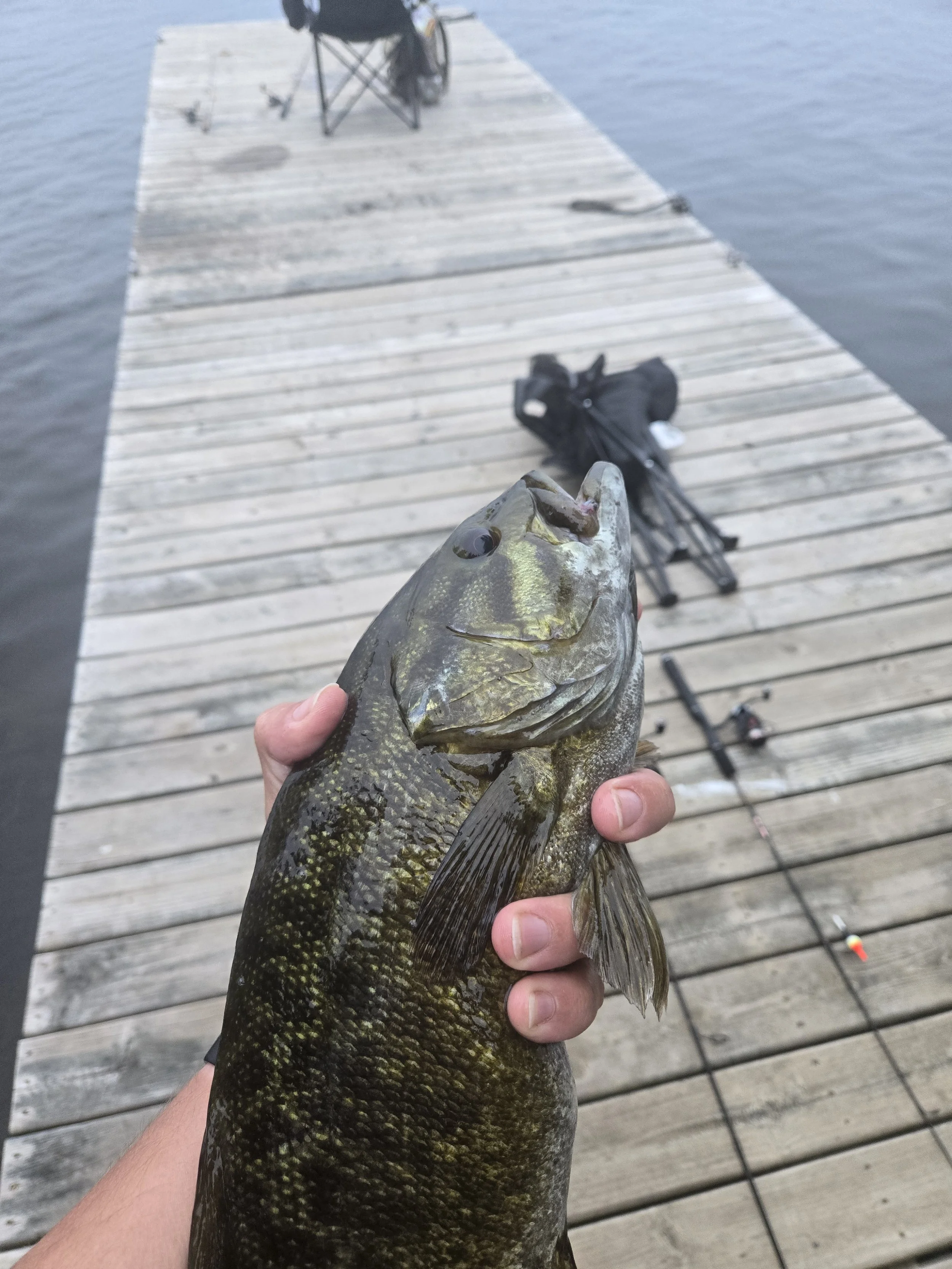 Gunflint Trail Smallmouth Bass