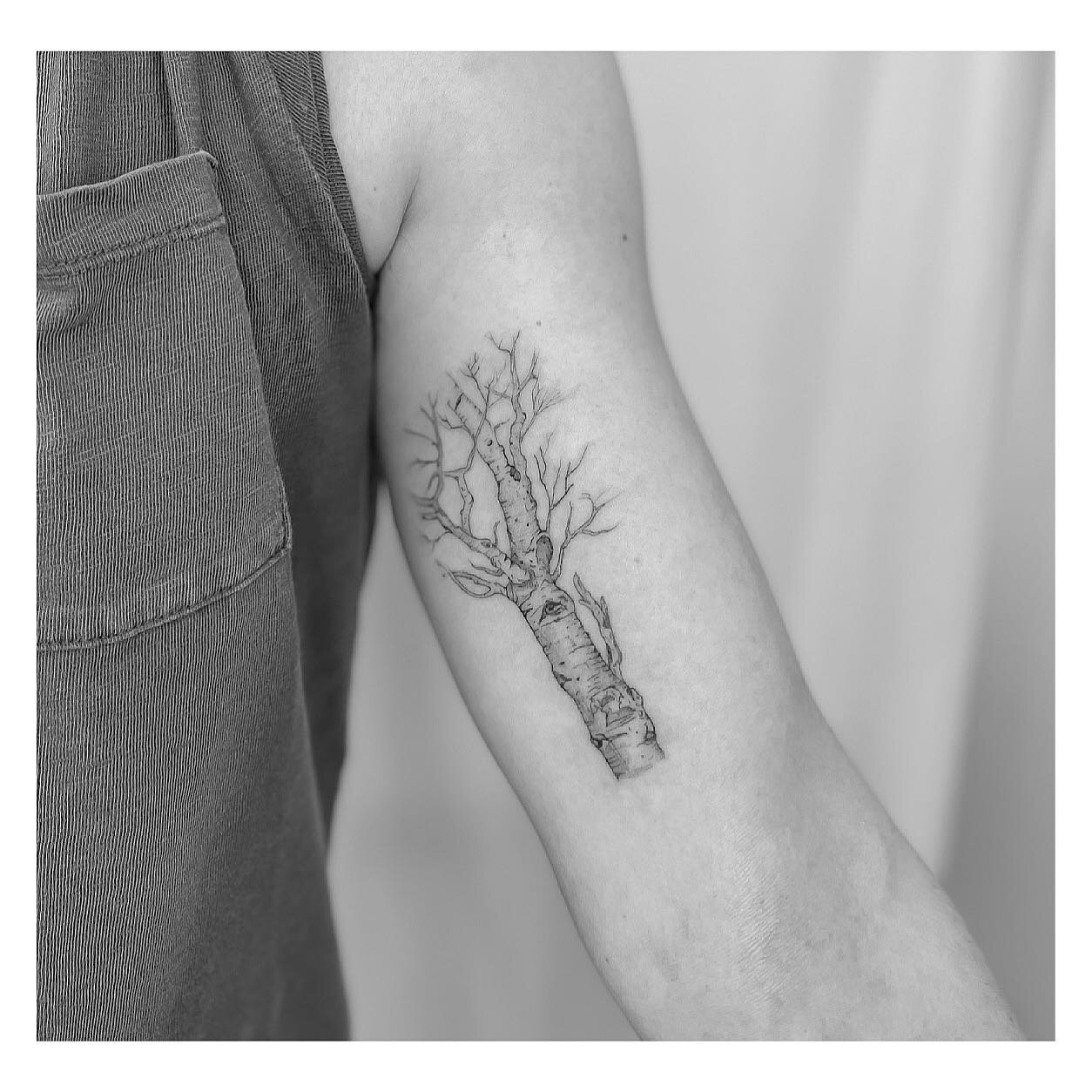 Birch tree tattoo  Birch tree tattoos Birches tattoo Tree tattoo