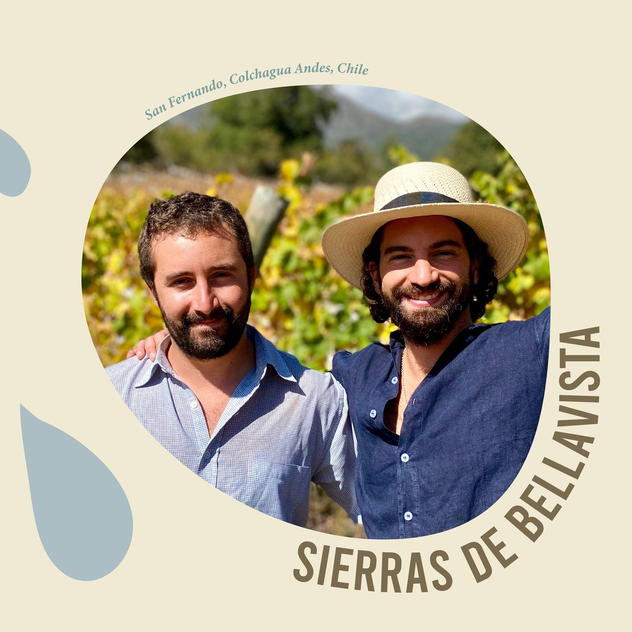 This week, we're excited to welcome Sierras de Bellavista, giving us a chance to admire their amazing wines. 

From a conversation between Camilo Rahmer and Jacques Ergas that took place during the summer of 2010, a dream was born. Camilo and Jacques