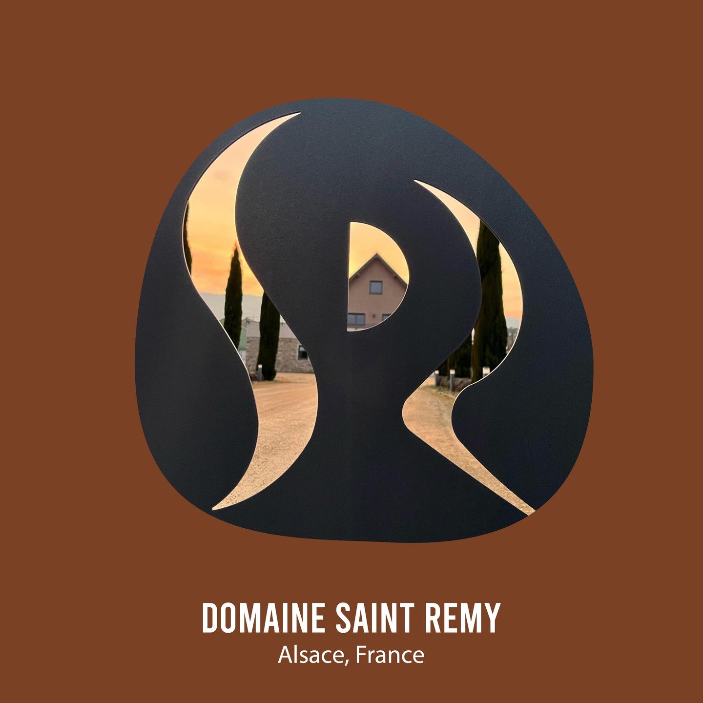 Biodynamic farming is a holistic approach to agriculture that emphasizes thei nterconnectedness of soil, plants, and animals within a farm ecosystem.
Discover the extraordinary wines from the Biodynamic certified Domaine Saint Remy.
#alsacewine #eart