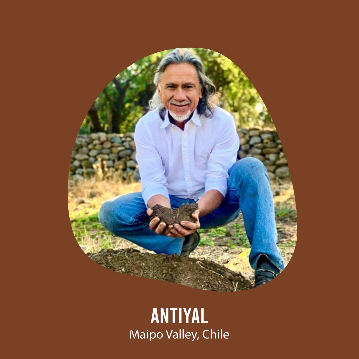 Biodynamic farming aims to create a self-sustaining system by treating the farm as a living organism and following celestial and lunar rhythms for planting and harvesting. Don&rsquo;t miss the wines of Antiyal by Alvaro Espinoza a leading figure in b