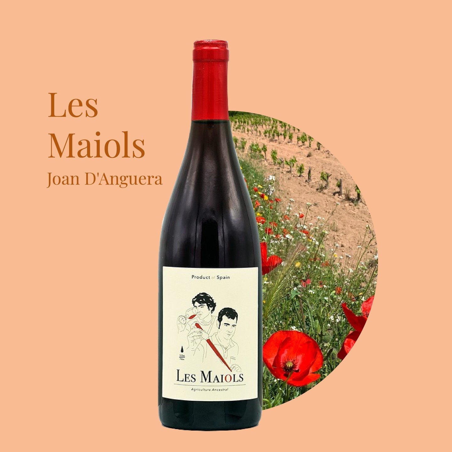 Our happy hour selection!

Les Maiols, easy drinking red, full of fresh fruits, vibrant marmalade notes with bright acidity and tension. 

Winemaker: Joan D&rsquo;Anguera 
Origin: Montsant, Spain.

#happyhour #nyc #Happyhournyc #smallestate #spanishw