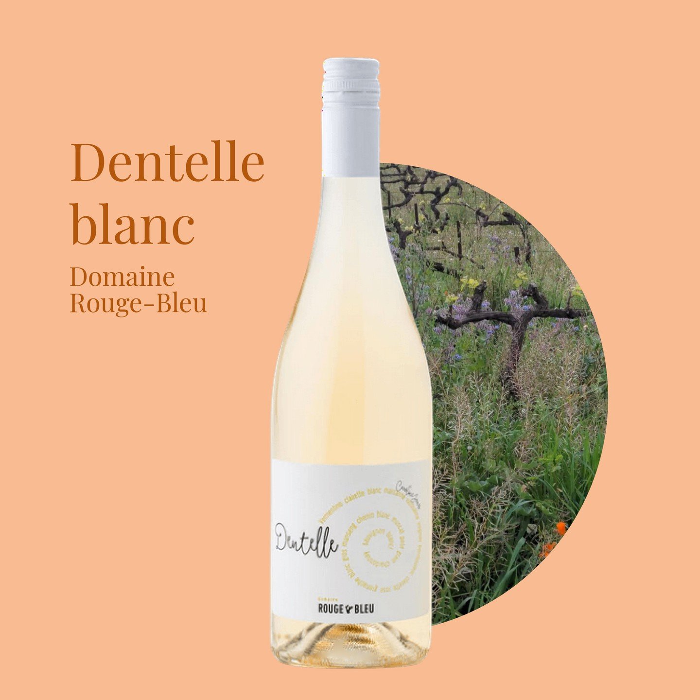 Dentelle blanc , a blend of 13 local grape varietals from the southern Rhone. Aromatic notes of apricot with tropical hints. Crisp acidity with stone fruit flavors filling the mid palate. 

Winemaker: Domaine Rouge Bleu
Origin: Rhone, France

#happyh
