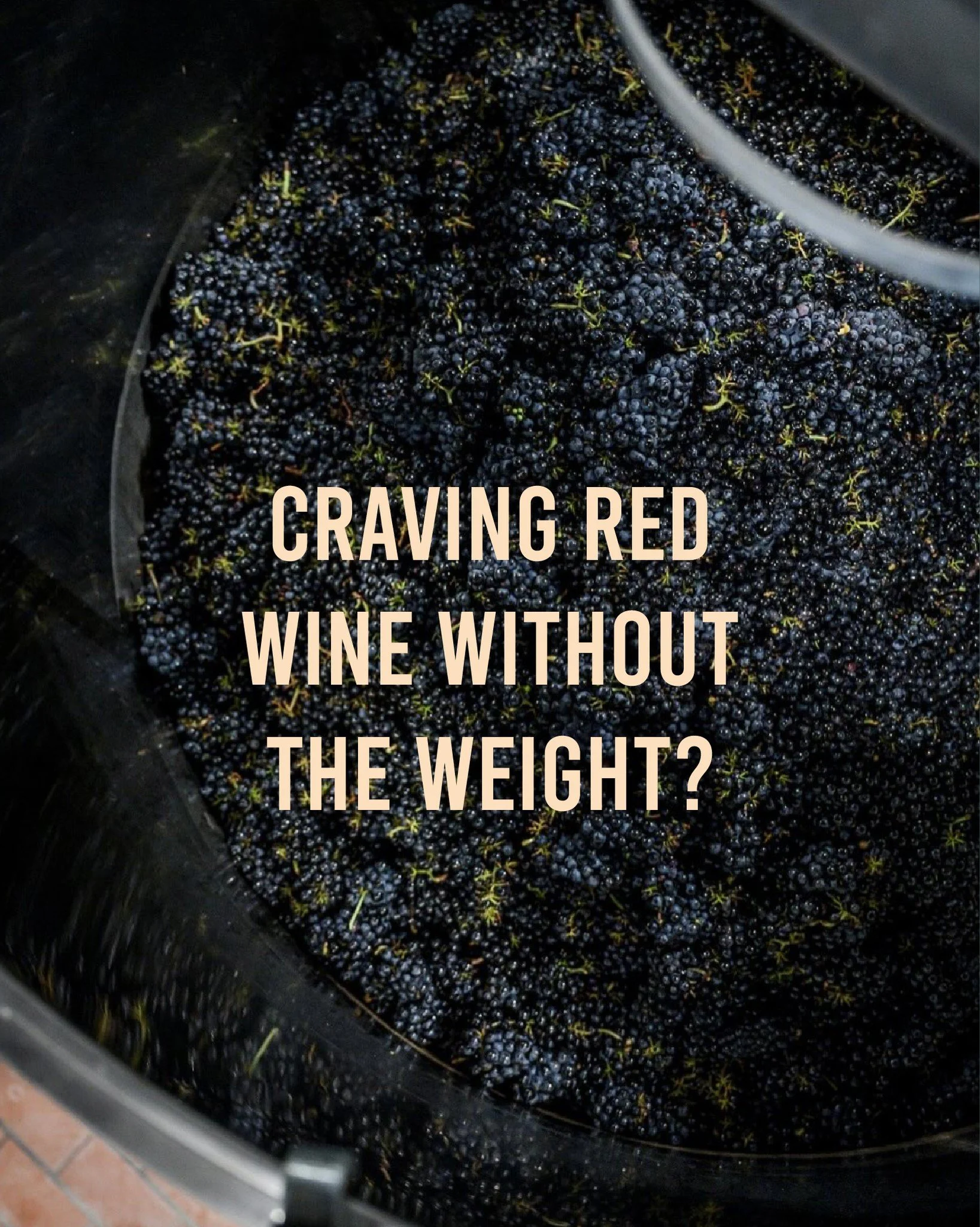 Craving red wine without the weight? Those wines are for you:

Haute Perche Cabernet Franc: 
Perfect red to warm you up without weighing you down! Fantastic Cabernet Franc from the Anjou Noir!

Mas Foraster Trepat : 
A perfect winter red with a light