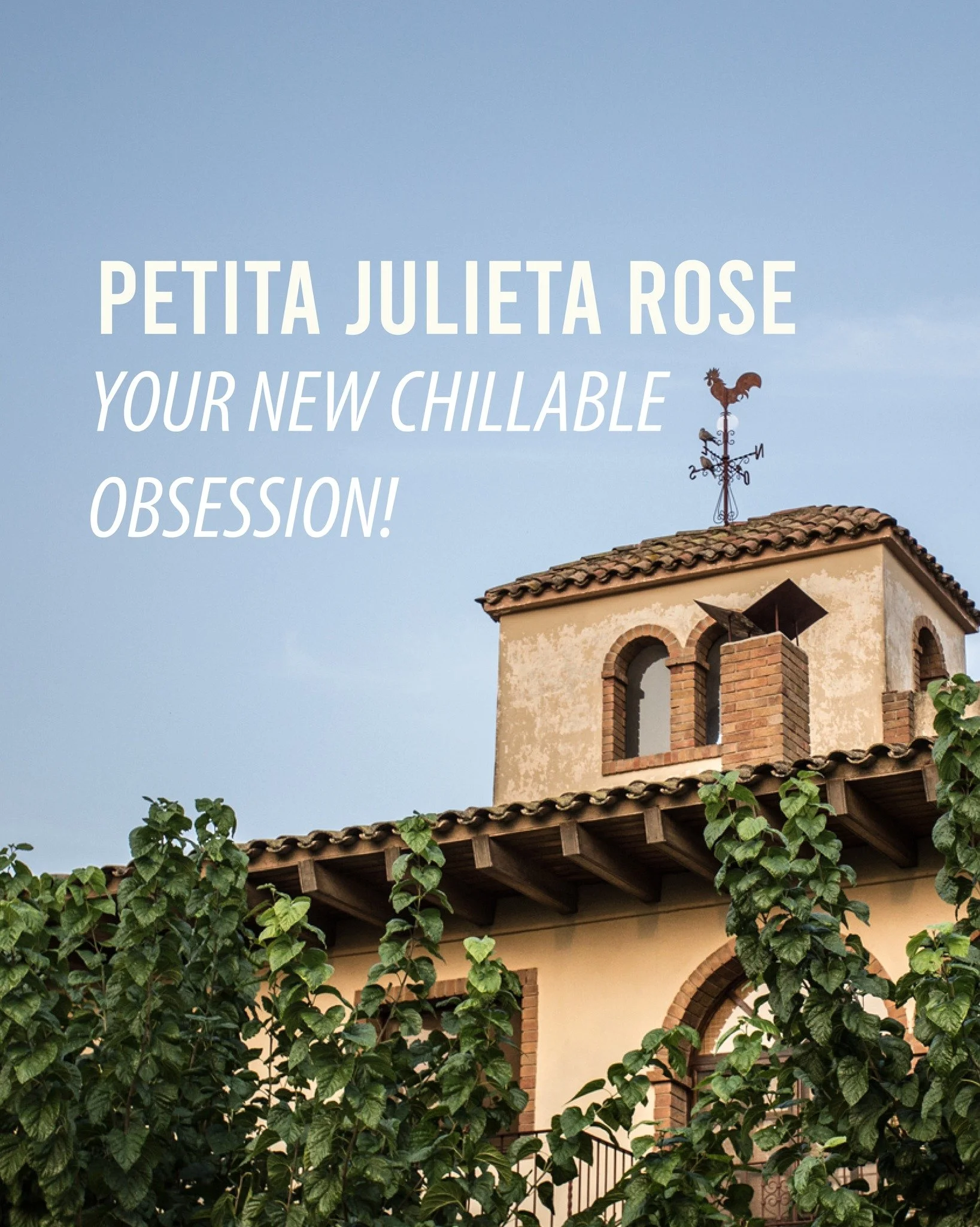Petita Julieta Rose, your new chillable obsession!

A different kind of ros&eacute; made from Trepat, a native variety known for its aromatics and freshness. This is a ros&eacute; with real personality: crunchy red berries, vibrant  wild berries and 
