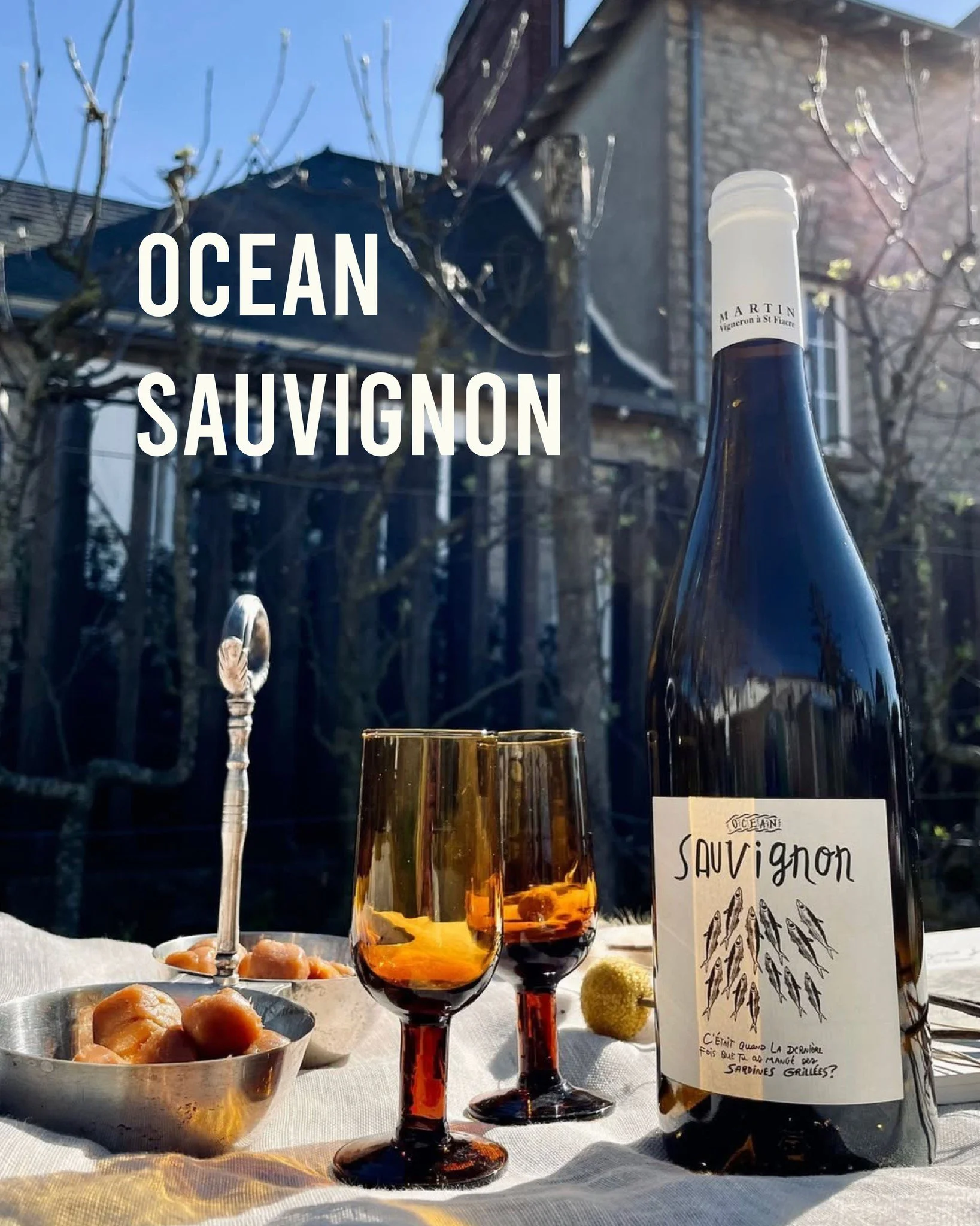Ocean Sauvignon
Grown in the Muscadet region in the Loire Valley, this is a Sauvignon with a twist: zesty, saline, and super refreshing with a clean, mineral finish. 

#muscadet #springtime #nycwine #sauvignonblanc