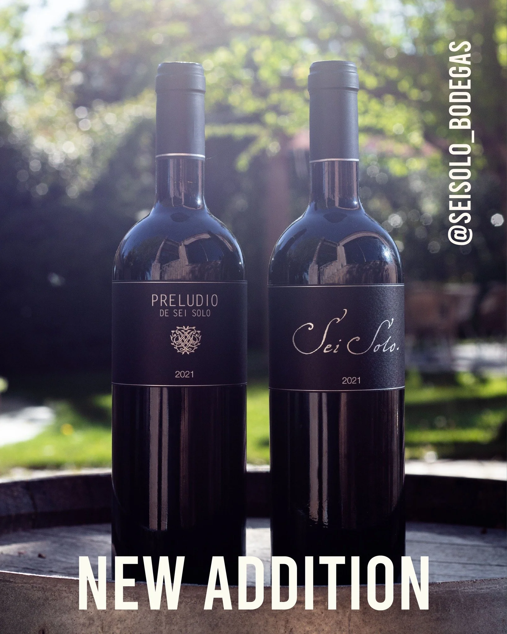 We are proud to introduce our latest addition to our Spanish portfolio: SEI SOLO ; founded by Javier Zaccagnini, this boutique estate challenges the region&rsquo;s bold tradition with a more refined, &ldquo;Burgundian&rdquo; approach to Tempranillo.
