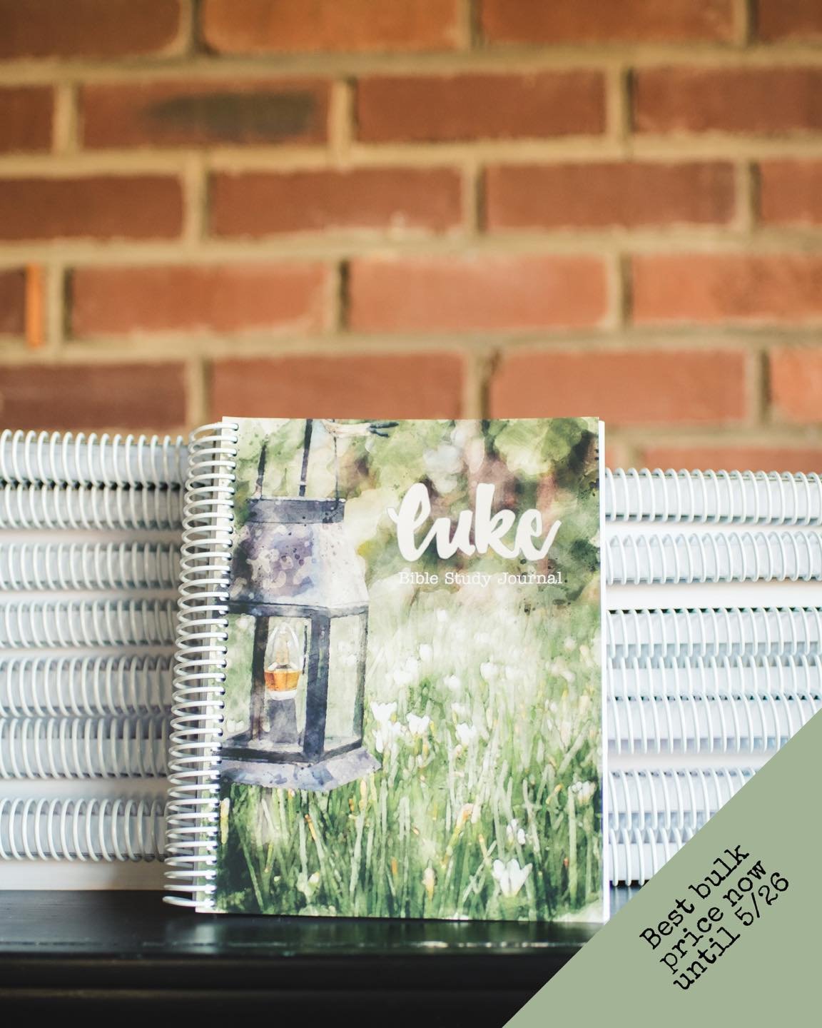 Enjoy studying through the gospel together with your small group or ladies’ class with the Luke journal!
** Bulk ordering price will be going up soon! Currently, ordering 10 journals or more are $20 each but will be going up to $24 each after