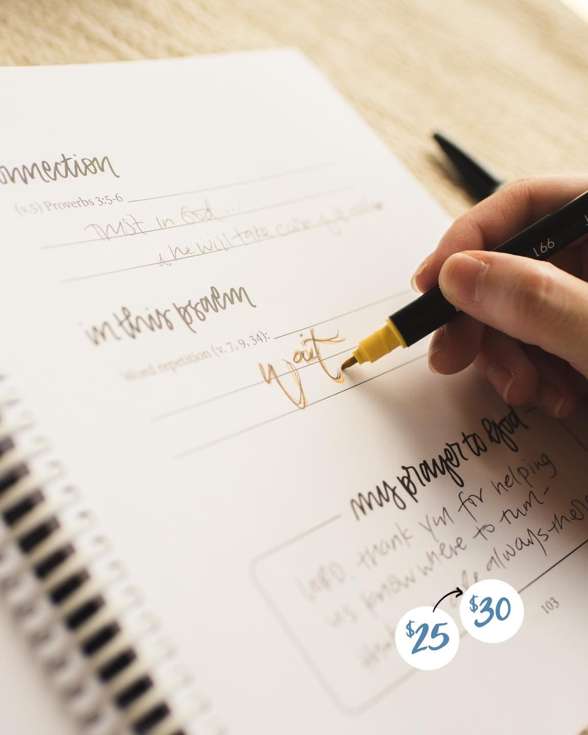 Journal through the prayerful book of Psalms! ✨LIGHT journals $25 until Memorial Day!
📦 See how you can get free shipping added: https://www.evergreencypress.com/journals-light
📖 Shop the Psalms part I journal: https://www.evergreencypress.com/s