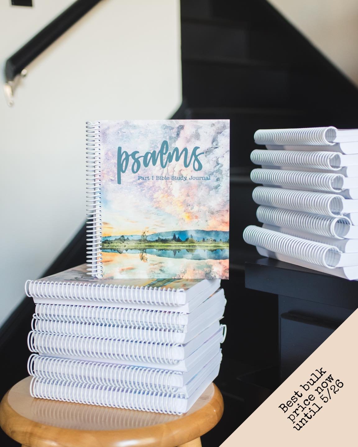Share the beauty of talking with God through anything with your women's small group by studying together through the Psalms journals!
** The price for bulk orders of journals will be going up soon, staying at 20% off! Currently, ordering 10 journals