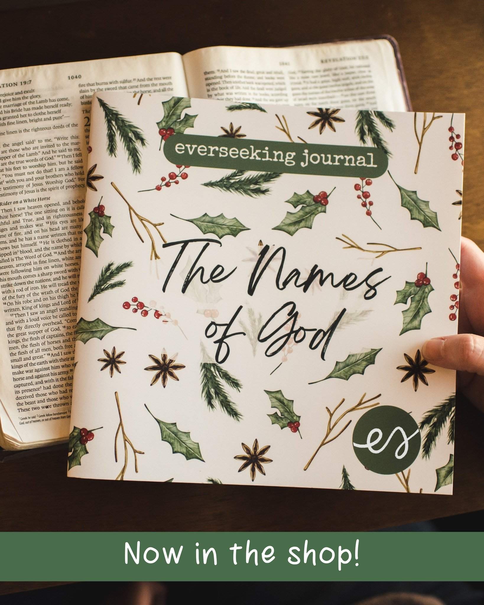 He is always there. From the beginning in Genesis to the end in Revelation, he has been faithful. Although we have been faithless so many times, he is faithful.
Shop the "Names of God" everseeking journal: https://www.evergreencypress.com