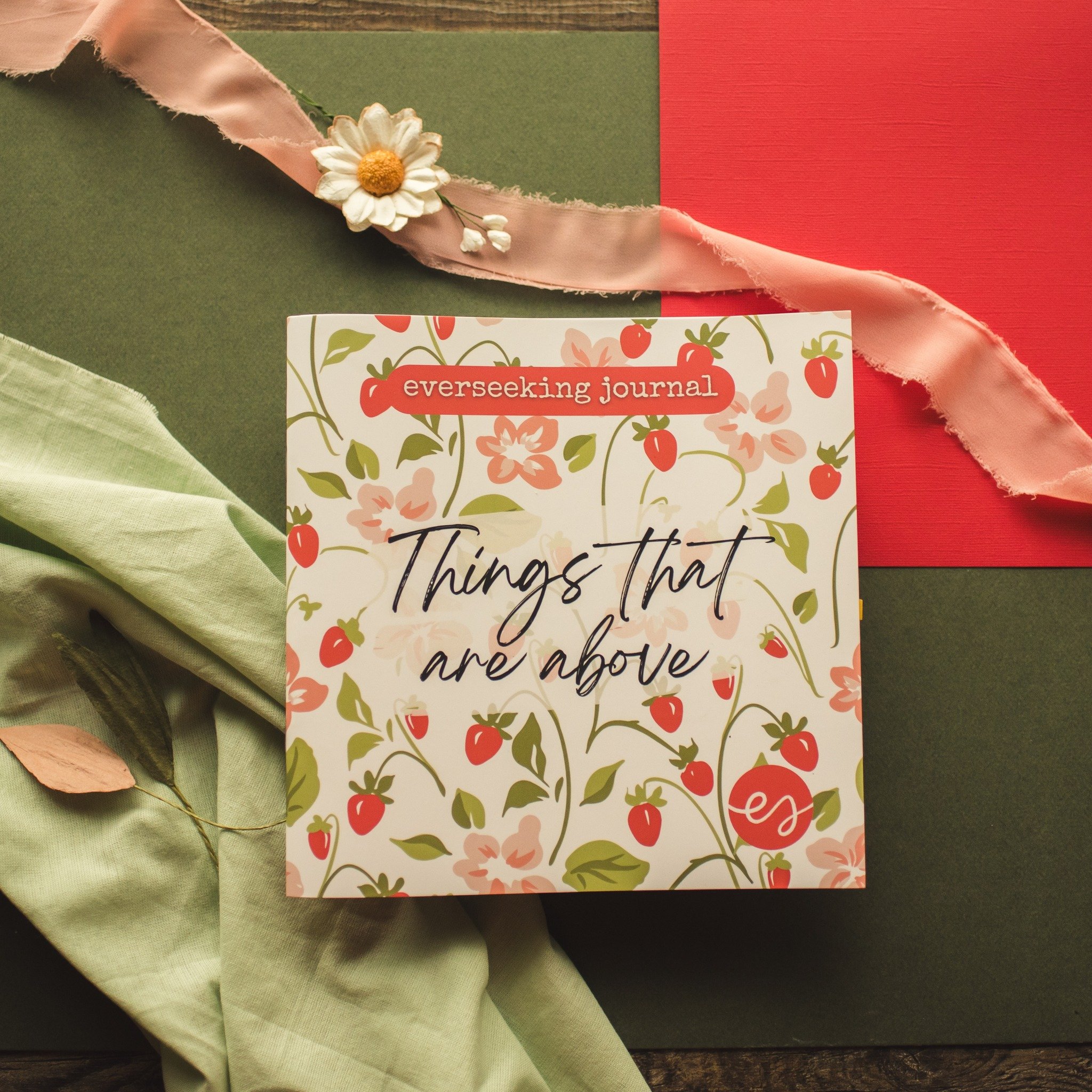 When we get caught up with the to-dos of life or the monotony that seems dreary and meaningless, we can start to slip into believing this is all there is.
But that is not our story! We are made in the image of God, the one who has made sure this li