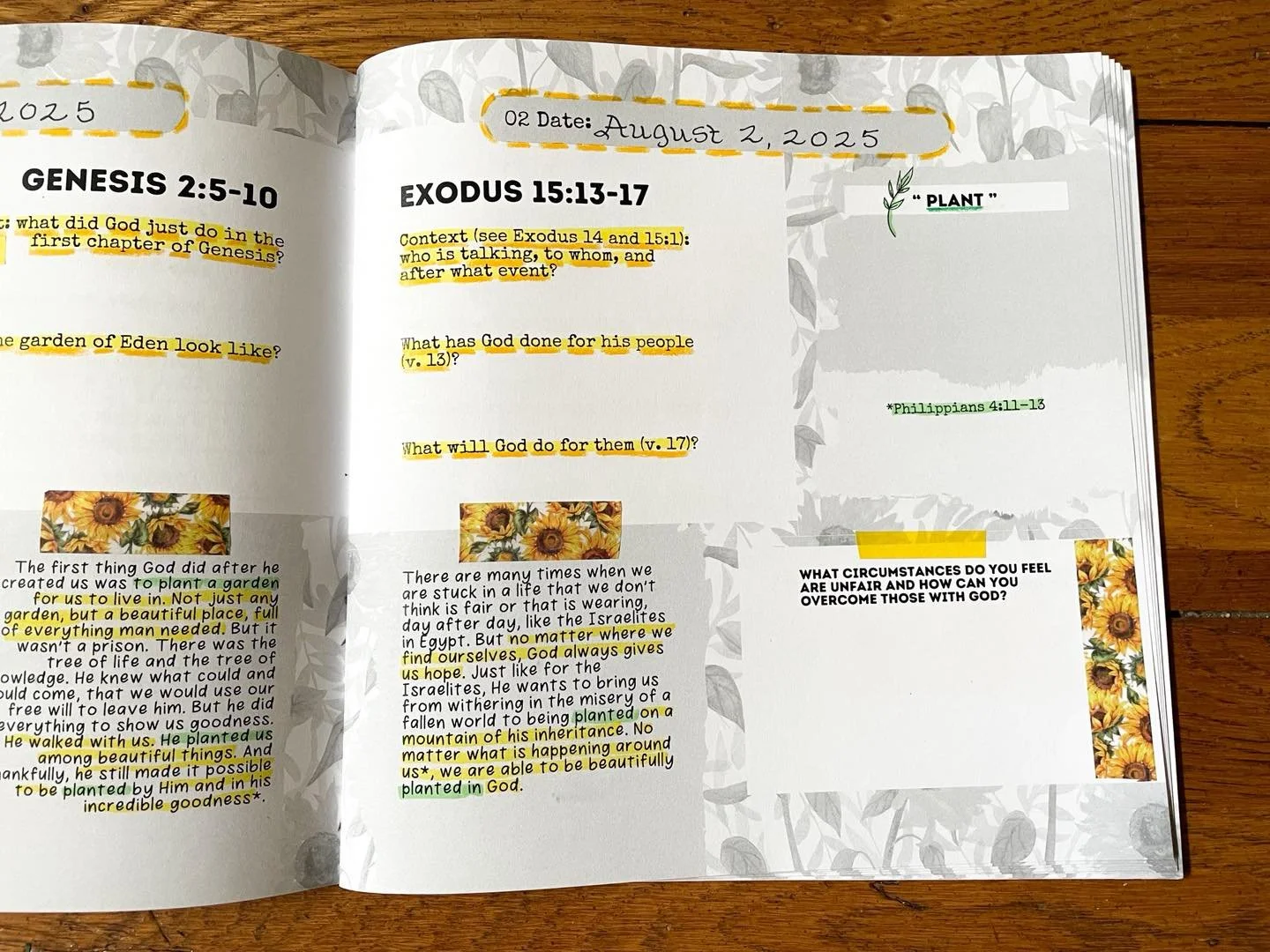 For new everseekers, welcome! 🥳 We are starting to get everything ready for you for your first mailer coming mid-August!
For current everseekers, we’re excited to start our August study, “Planted by God” with our sunflower theme