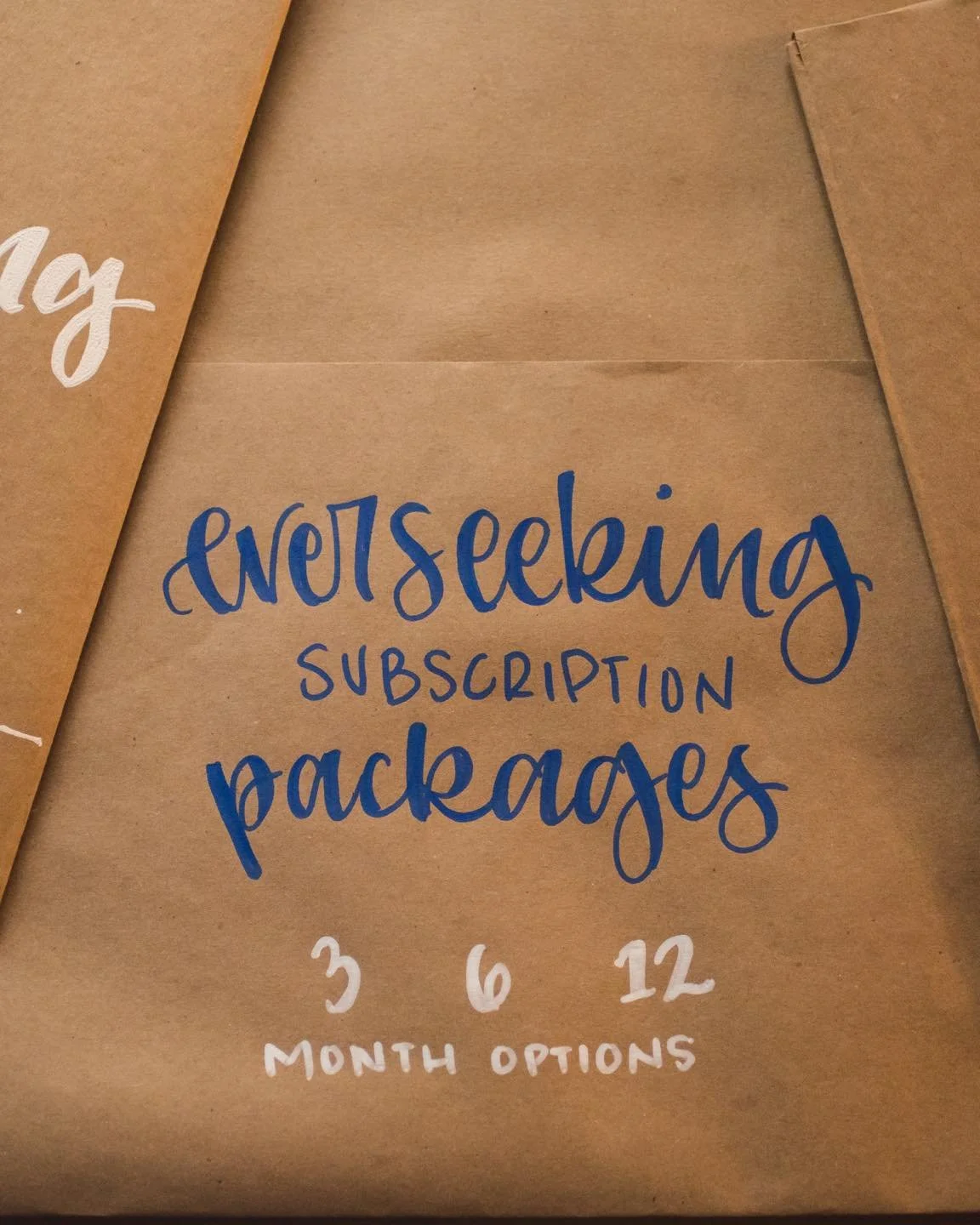 We only do this once a year &mdash; you can get months of the everseeking subscription all at once! 

Whether it&rsquo;s for yourself or for a family/friend gift, get the next 3, 6, or 12 months of everseeking at one time! 

Deadline to purchase in t