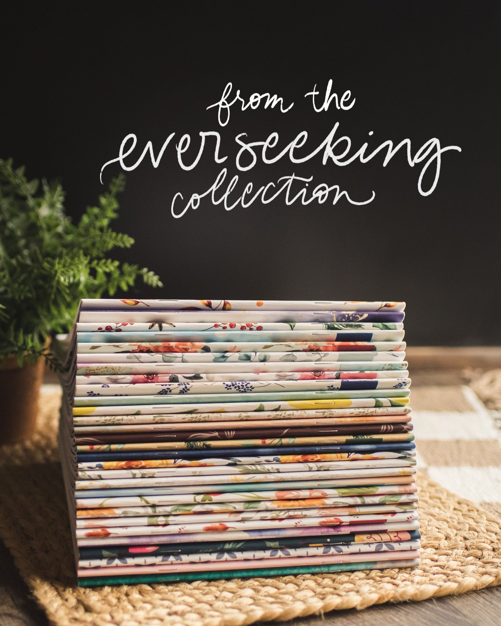 Introducing "from the everseeking collection" &mdash; featuring different previous everseeking journals every season!

📚 Bringing back past favorites 
💐 Refreshed every season
❤️ Always in God&rsquo;s Word

Learn more at https://www.everg