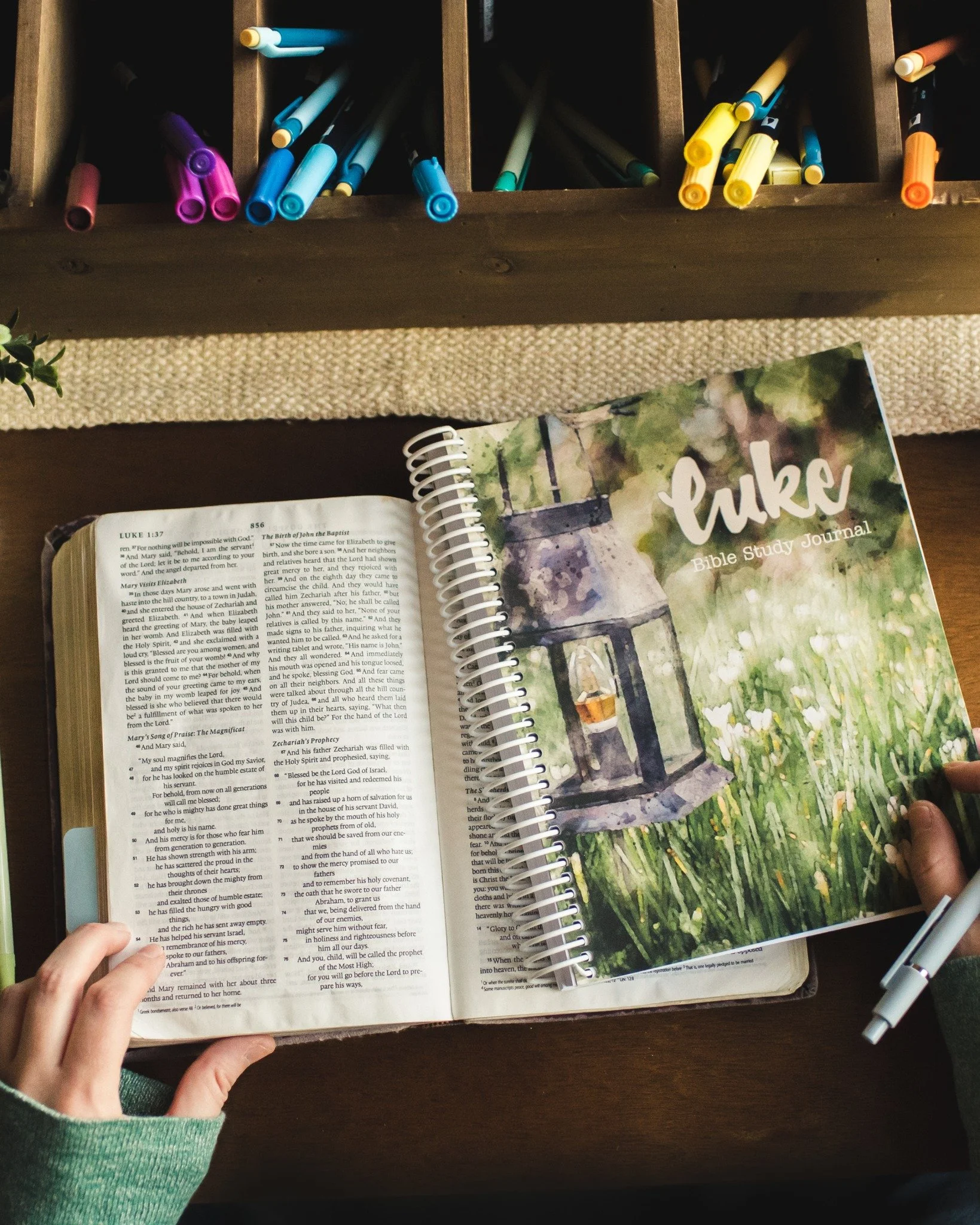 If you're wanting to study through the story and good news of Jesus (for the first time or for the 20th time!) as an orderly narrative, the gospel according to Luke is the perfect-- because this is how he starts:

"Inasmuch as many have undertak