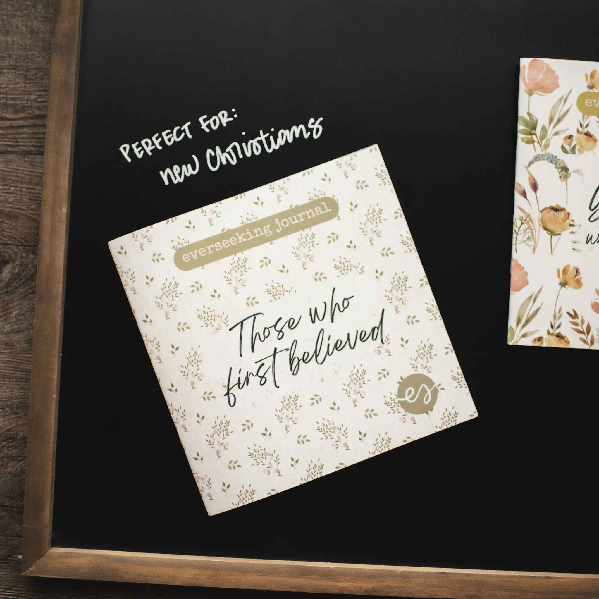 Trying to find a good everseeking journal to encourage a new Christian? 

"Those who first believed" is a great study to help them see through the eyes of those who first heard and believed the good news of Jesus -- and that we are able to 