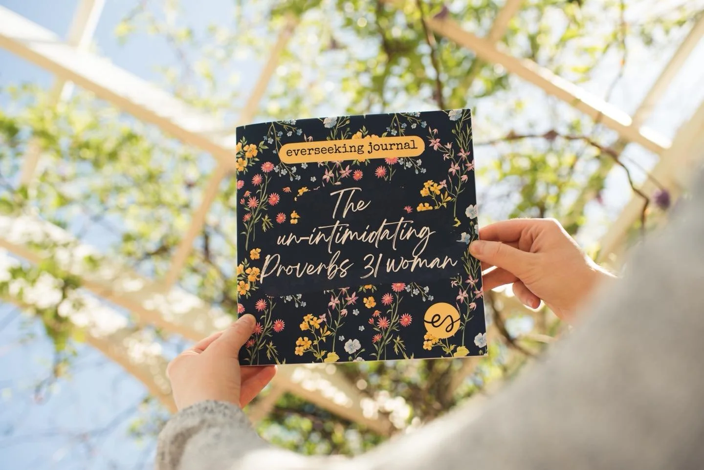 &ldquo;Charm is deceitful, and beauty is vain, but a woman who fears the Lord is to be praised.&rdquo;
‭‭Proverbs‬ ‭31‬:‭30‬ ‭

It&rsquo;s our May 2026 everseeking study! Join the everseeking subscription you don&rsquo;t miss the next one: https://ww