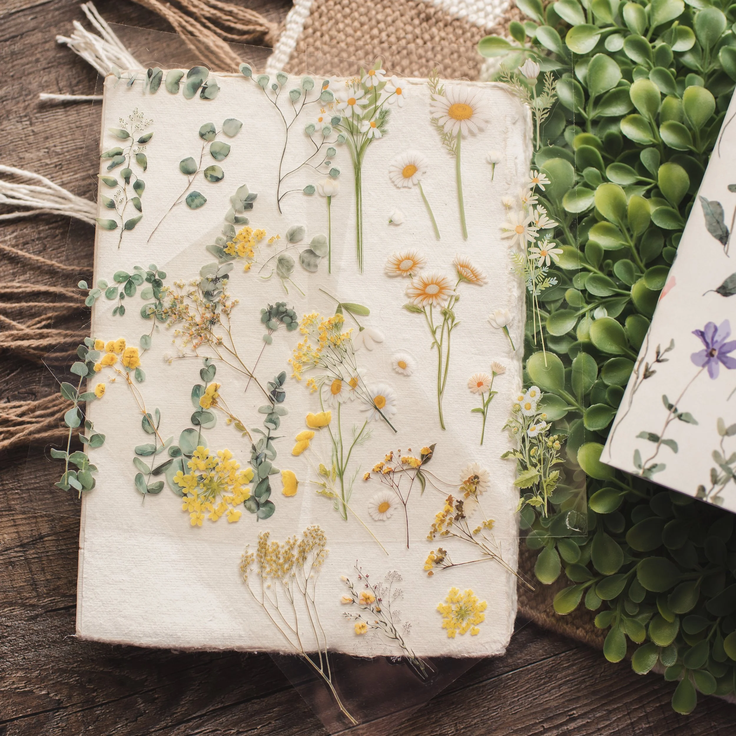September 2026 - three wildflower sticker sheets