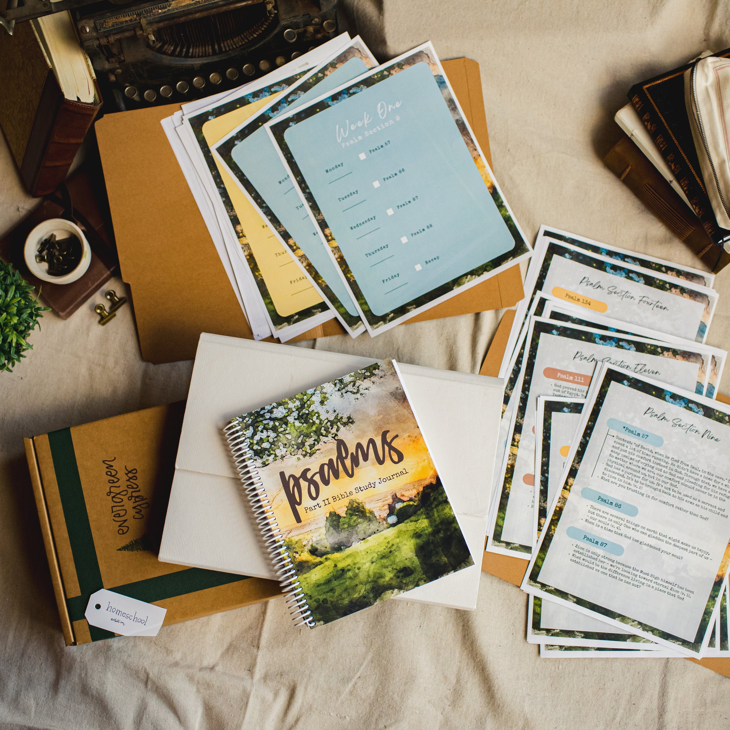 The Psalm (part II) Study Package
