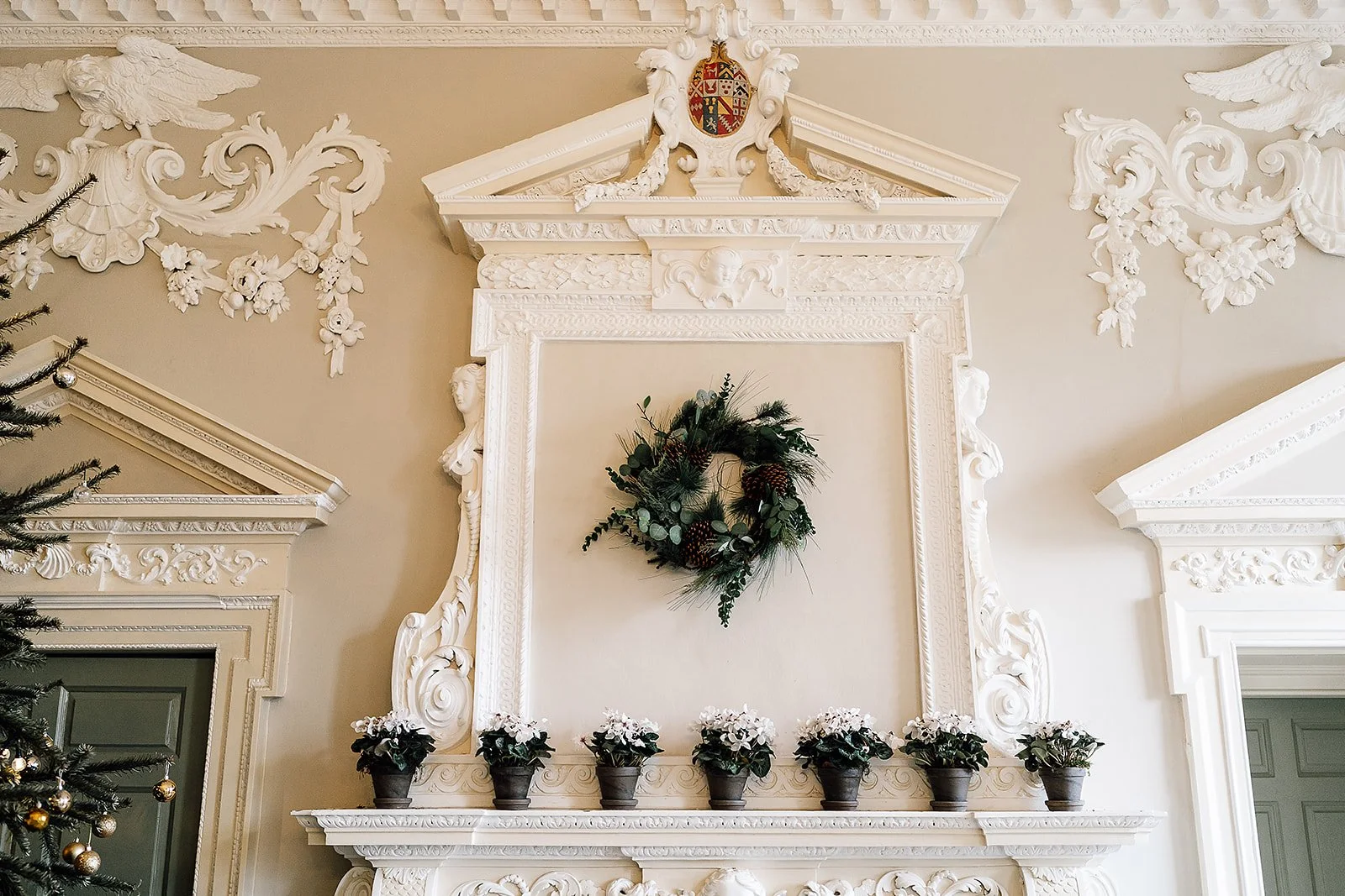 Potted white cyclamen flowers winter wedding