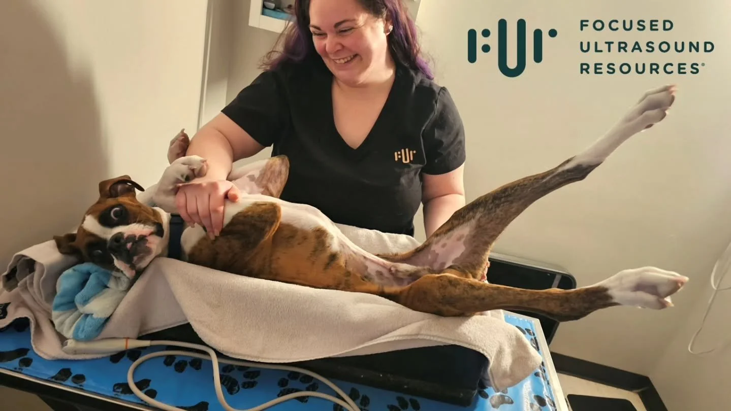 💚 🩺🐾 Happy Veterinary Technician Appreciation Week from FUR! 
Vet techs are the heart of every veterinary hospital &mdash; caring hands, calming voices, and endless compassion for every patient big or small. 🐶🐱🐰
 ✨ Thank you for your skill, you
