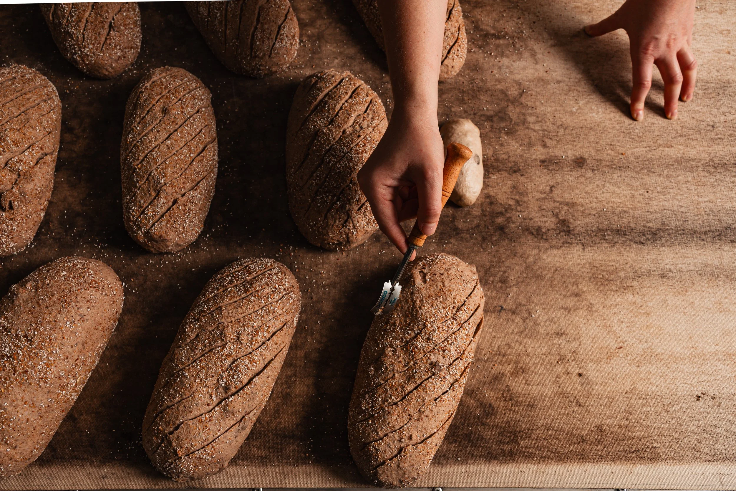 2025-09-05 FF 0009.JPG