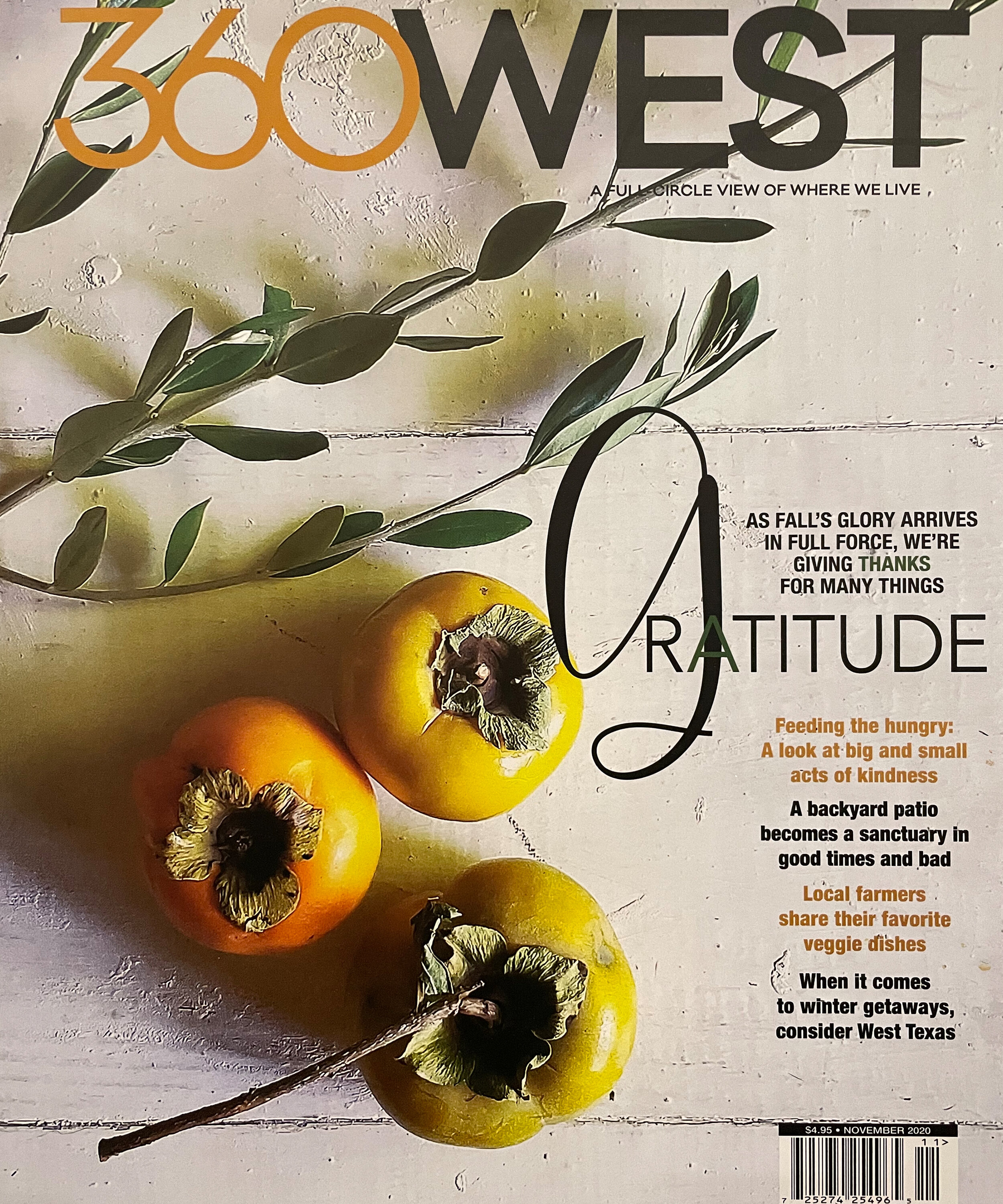 Ginger Curtis of Urbanology Designs featured in 360 West Magazine 