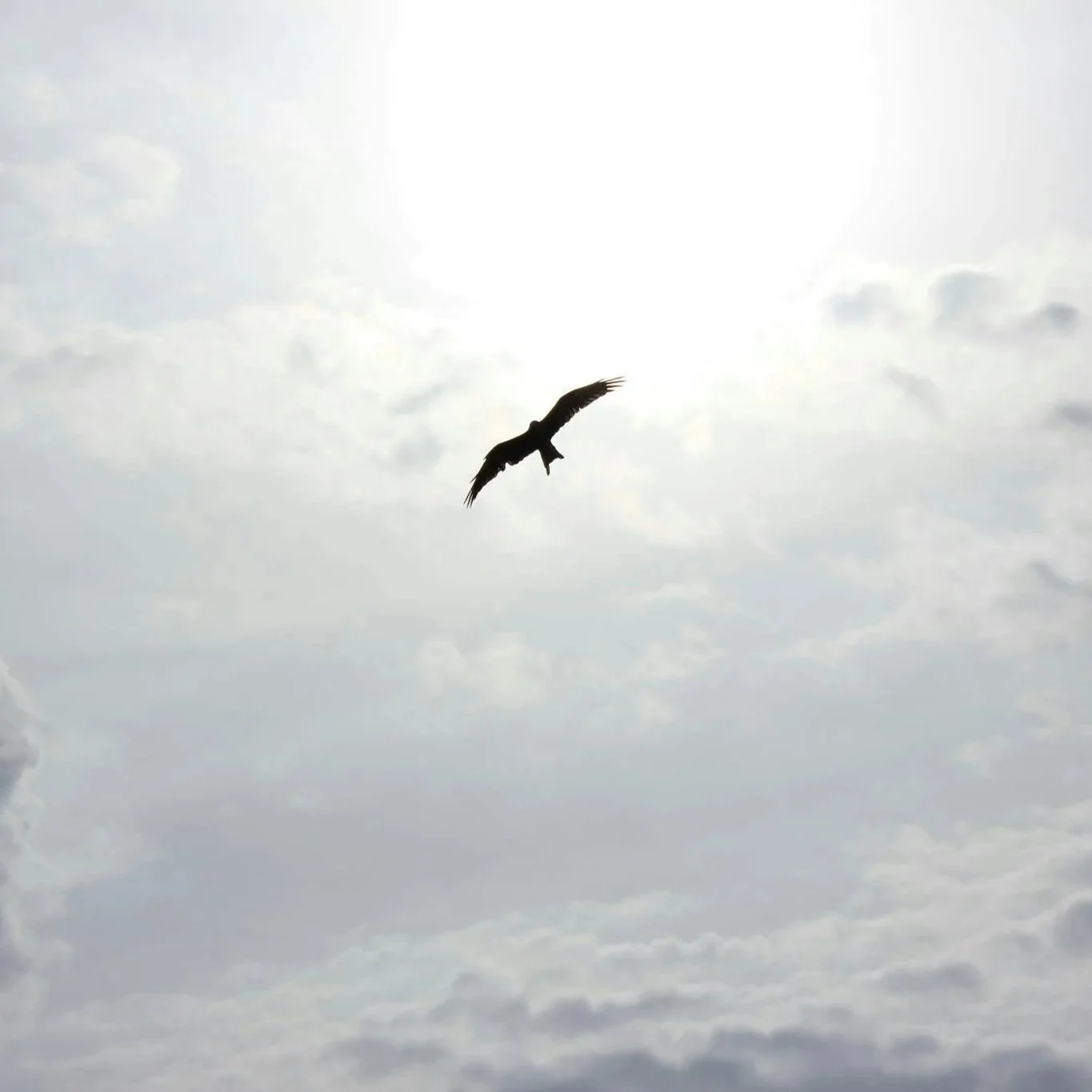 Ep.35 Recognizing &amp; Healing Spiritual Abuse with Stacey Smith