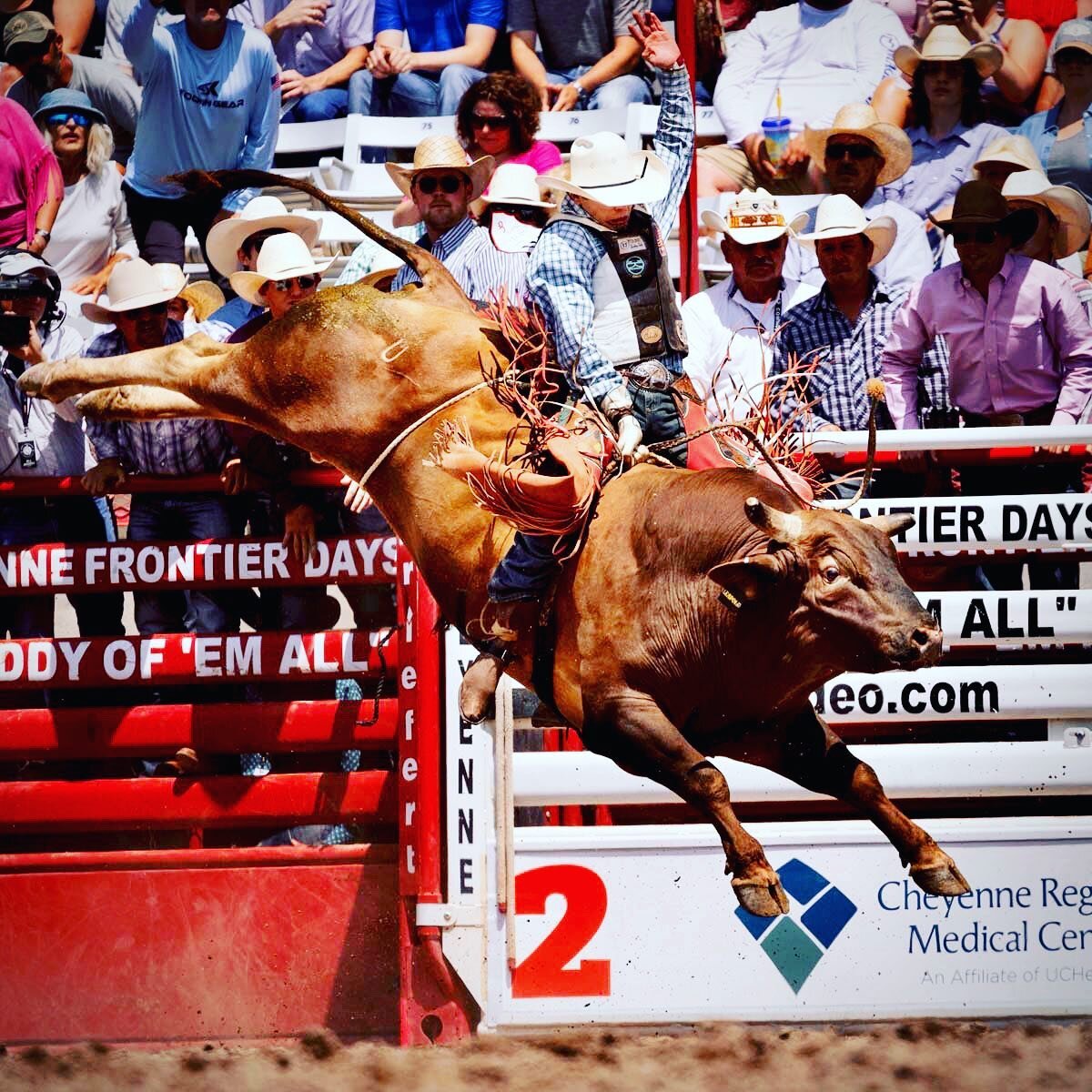 JC MORTENSEN rippin it
-
@chefrontierdays @jcmortensen8 #weareprorodeo #rodeophotography