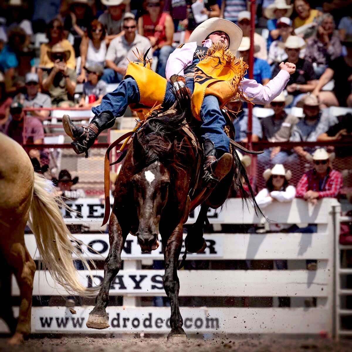 Kaycee Field - Cheyenne Frontier Days 
-
#rodeophotography #cheyennefrontierdays #rankbank