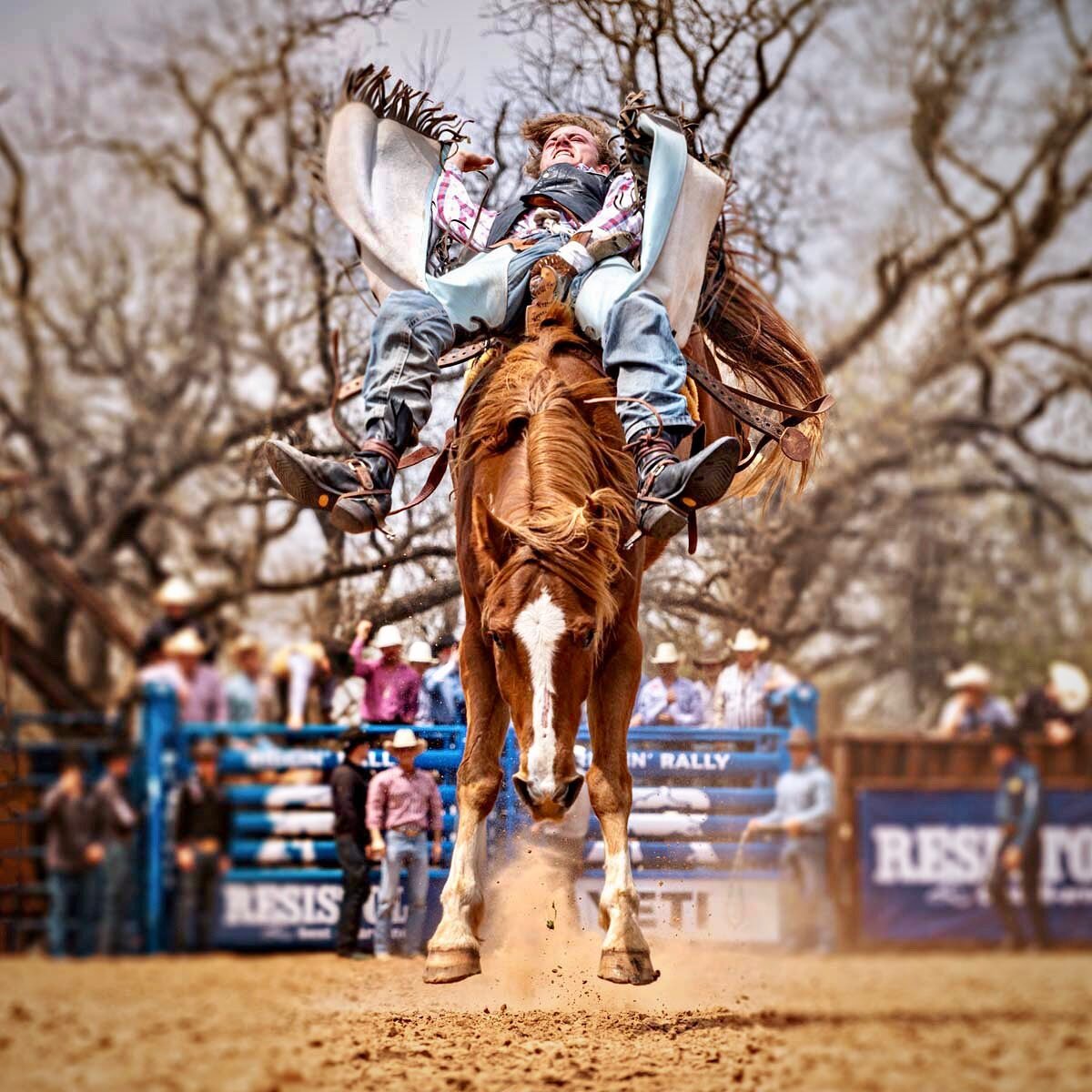 North &amp; South
-
@rigginrally #weareprorodeo #rodeophotography