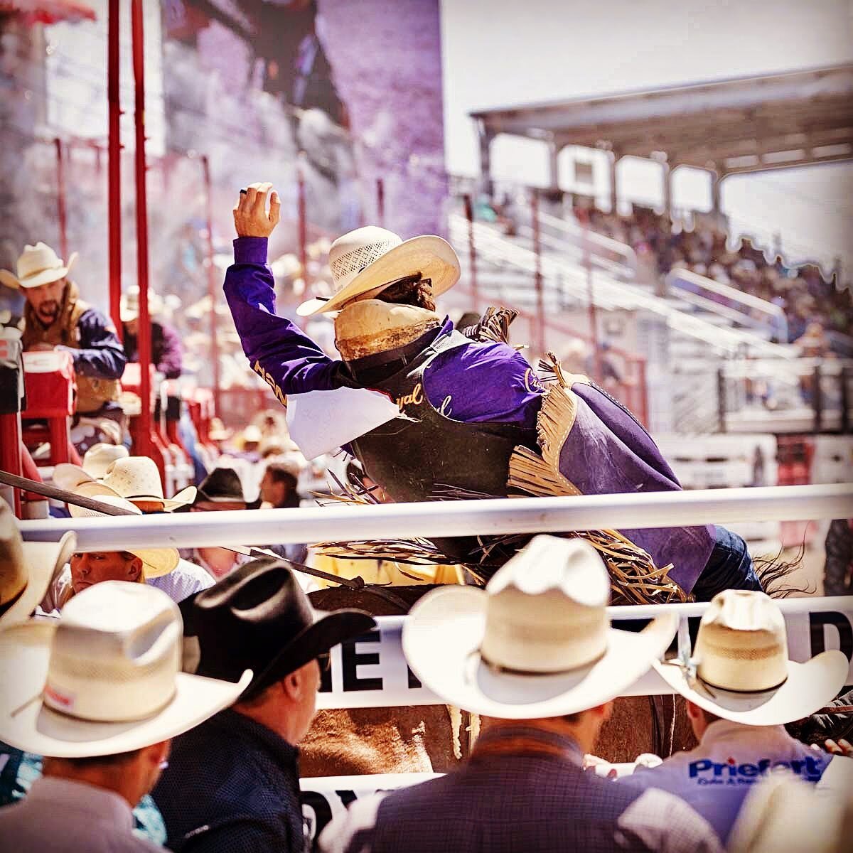 Tilden Hooper with his hat still on. 
#cheyennefrontierdays #weareprorodeo #rodeophotography