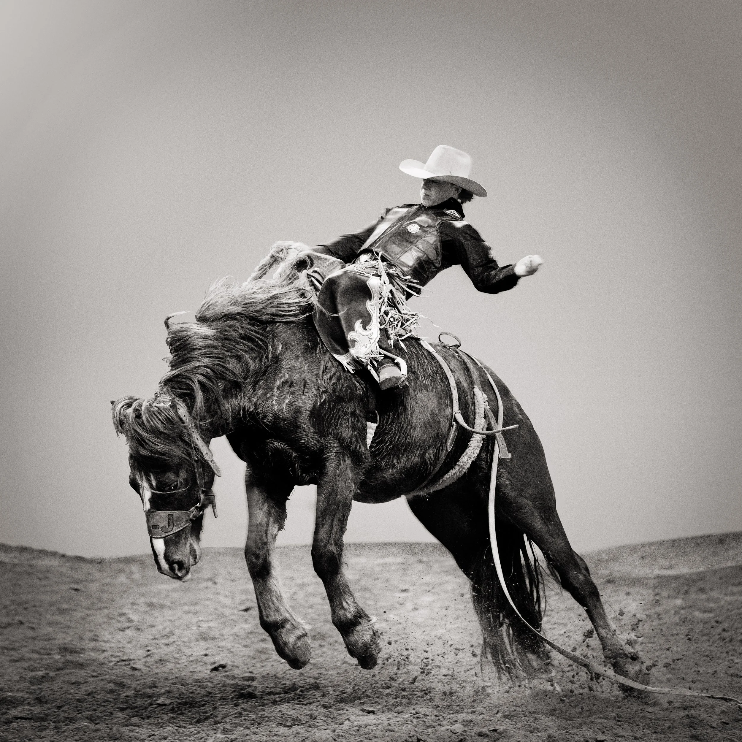 Haymaker Rodeo Bull Rodeo — Steve Wrubel