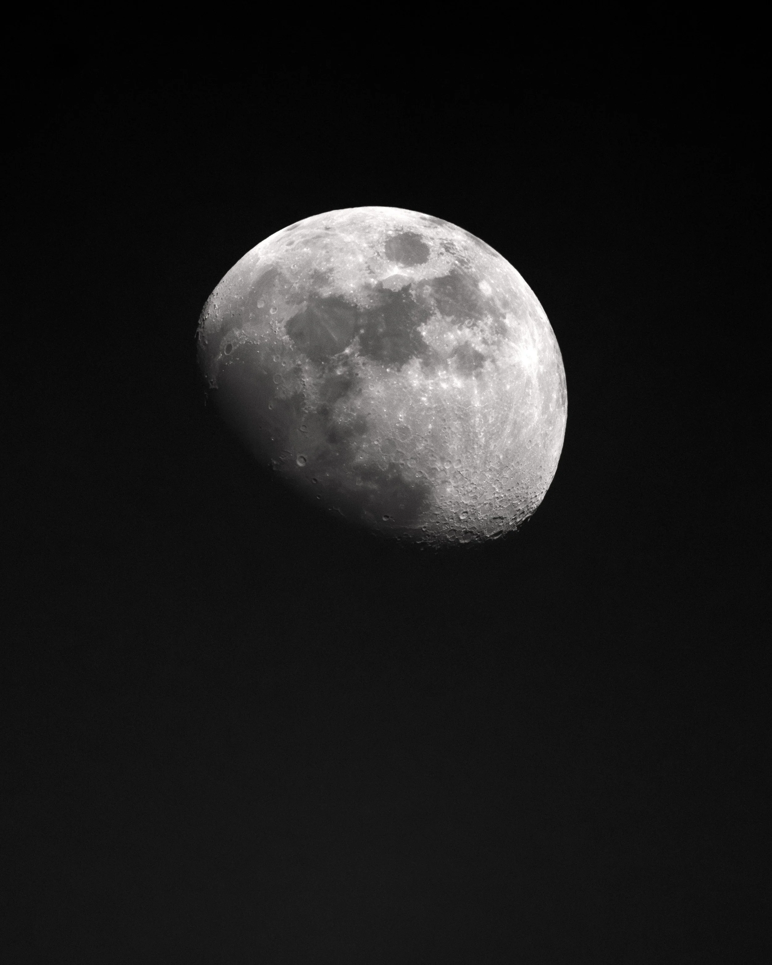 DSC08115crop.jpg