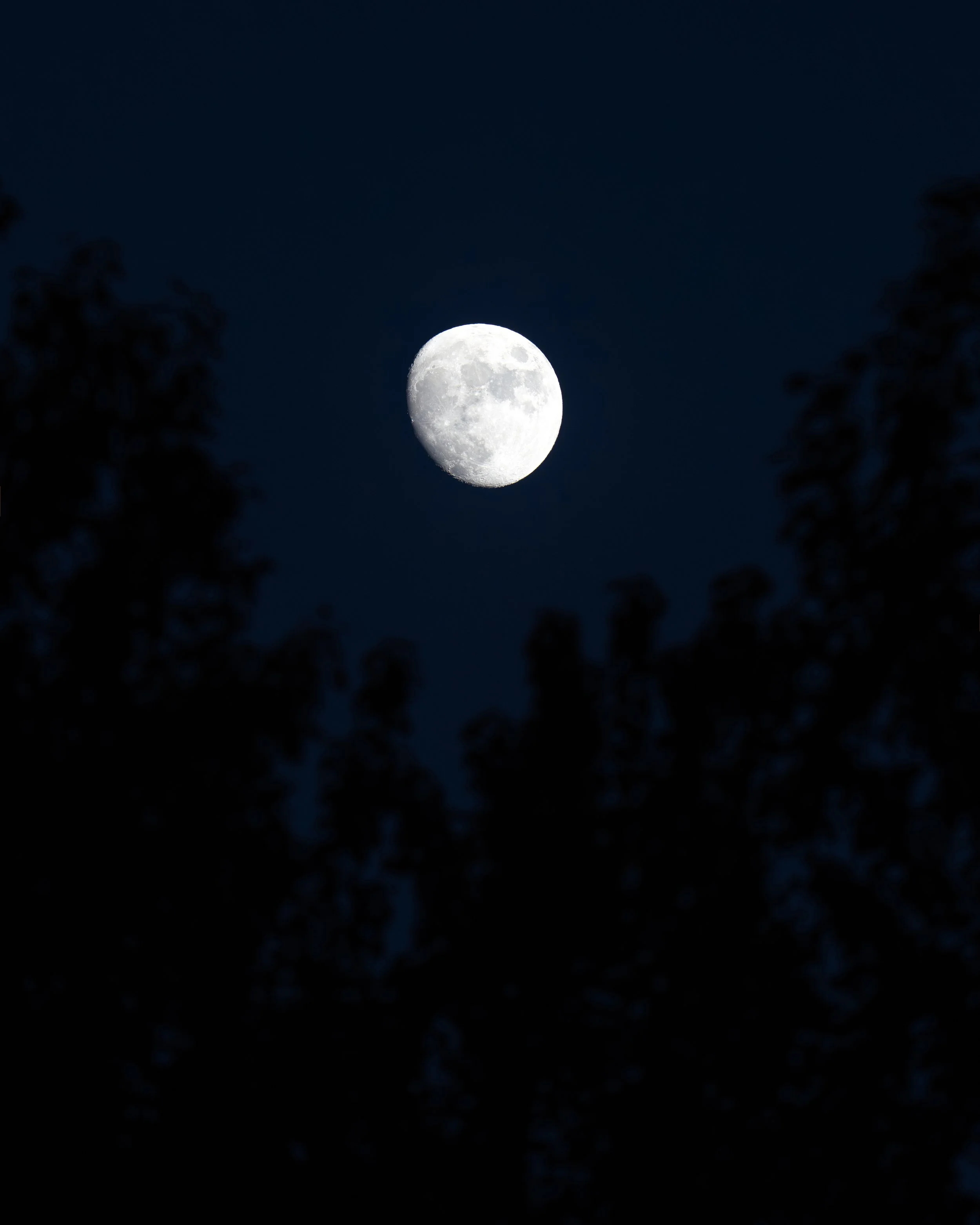 DSC00502crop.jpg