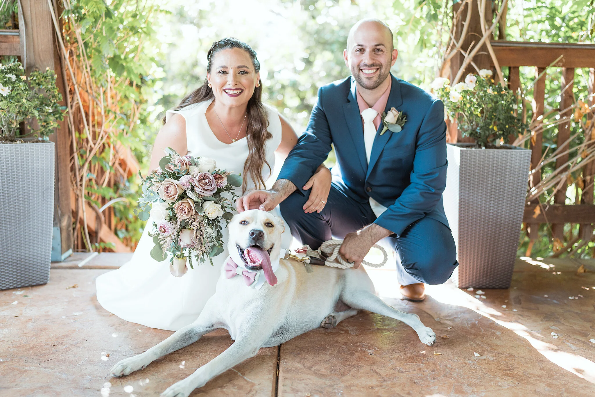 dog post ceremony.jpg