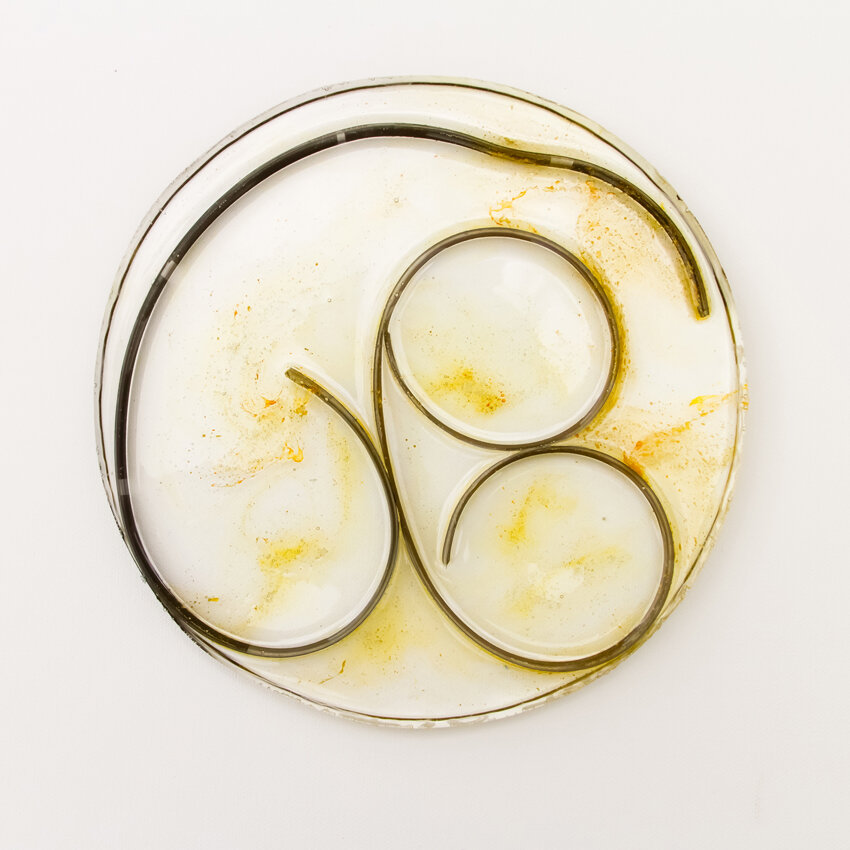   Title: Traces #10 Dimensions: 7” diameter, 1/3” depth Medium: Photographic film, resin, India ink, glass etching medium  